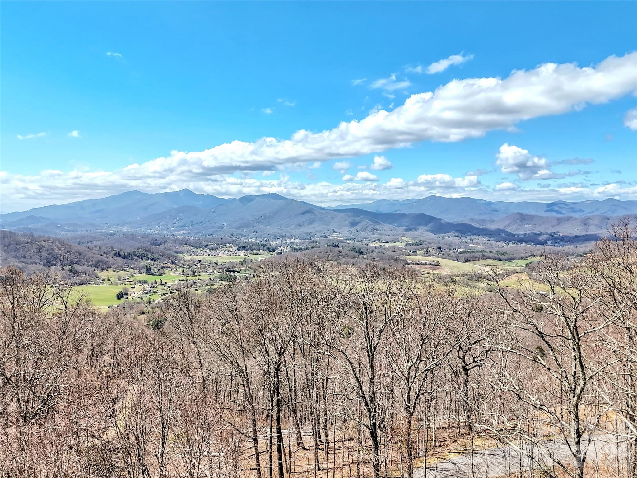 523 Brandywine Road Property Photo 45