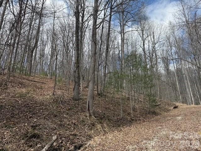 158 Chattooga Run 402 Property Photo 1