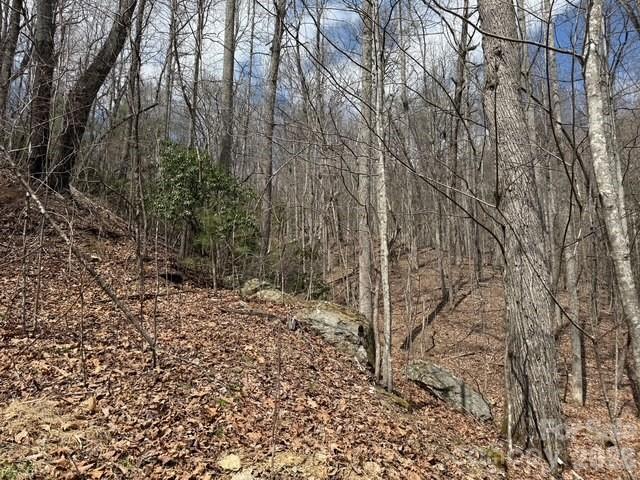 158 Chattooga Run 402 Property Photo 3