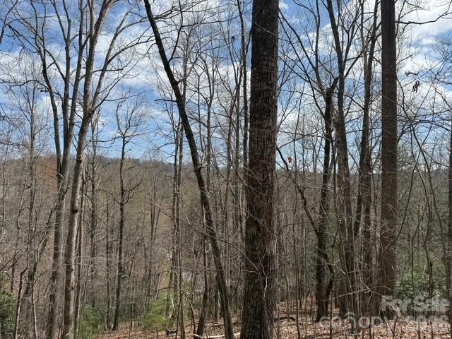158 Chattooga Run 402 Property Photo 4
