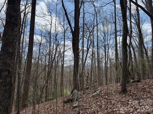 158 Chattooga Run 402 Property Photo 5