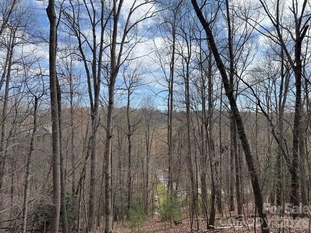 158 Chattooga Run 402 Property Photo 6