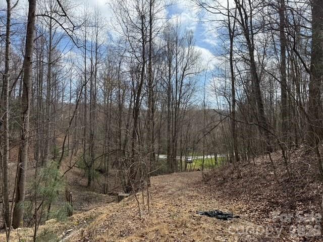 158 Chattooga Run 402 Property Photo 7