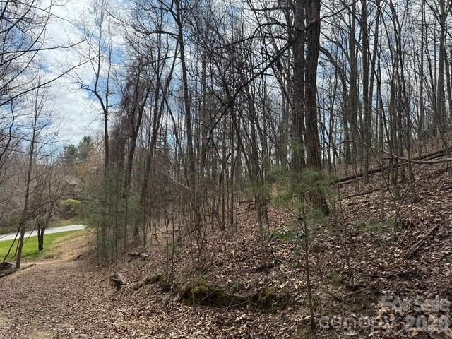158 Chattooga Run 402 Property Photo 8