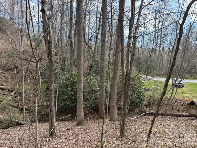 158 Chattooga Run 402 Property Photo 9