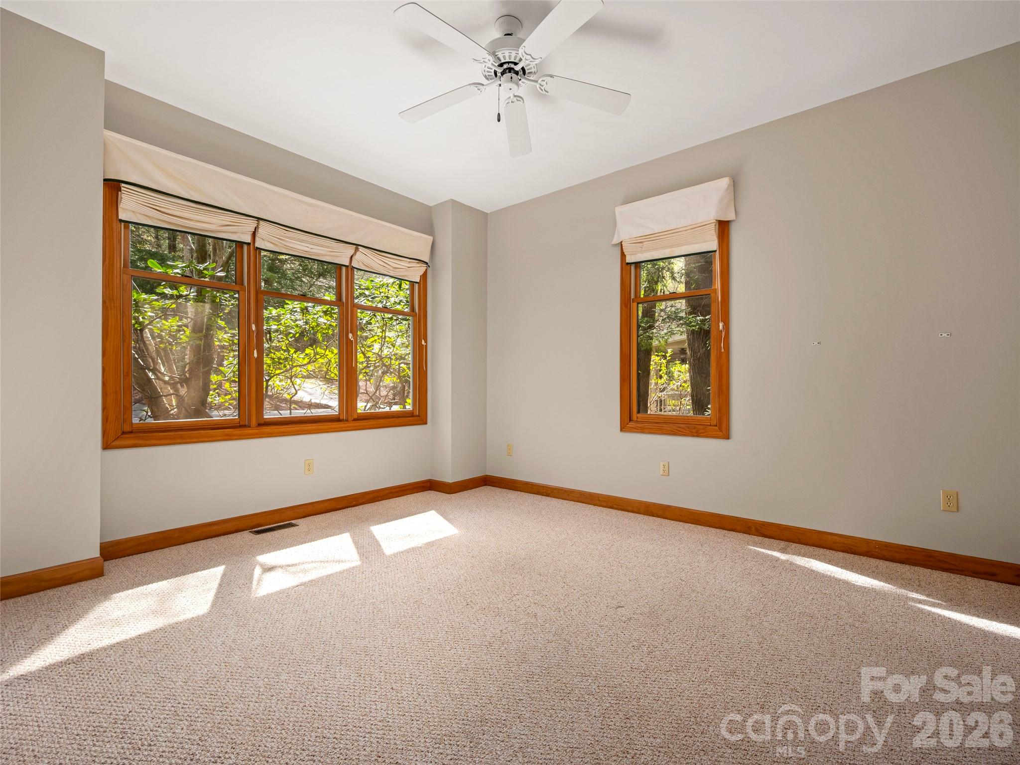 4 Wild Ivy Run Property Photo 10