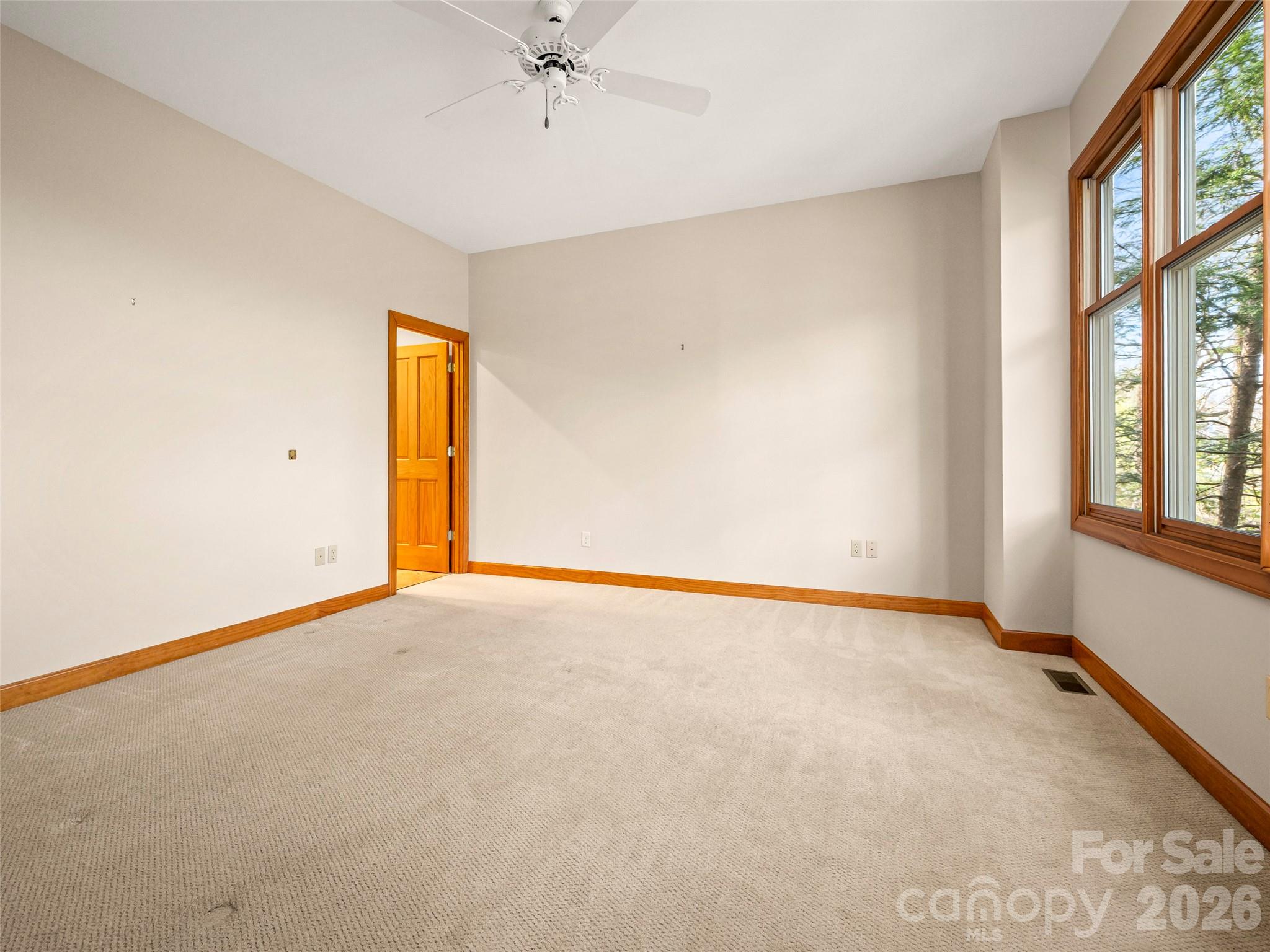 4 Wild Ivy Run Property Photo 17
