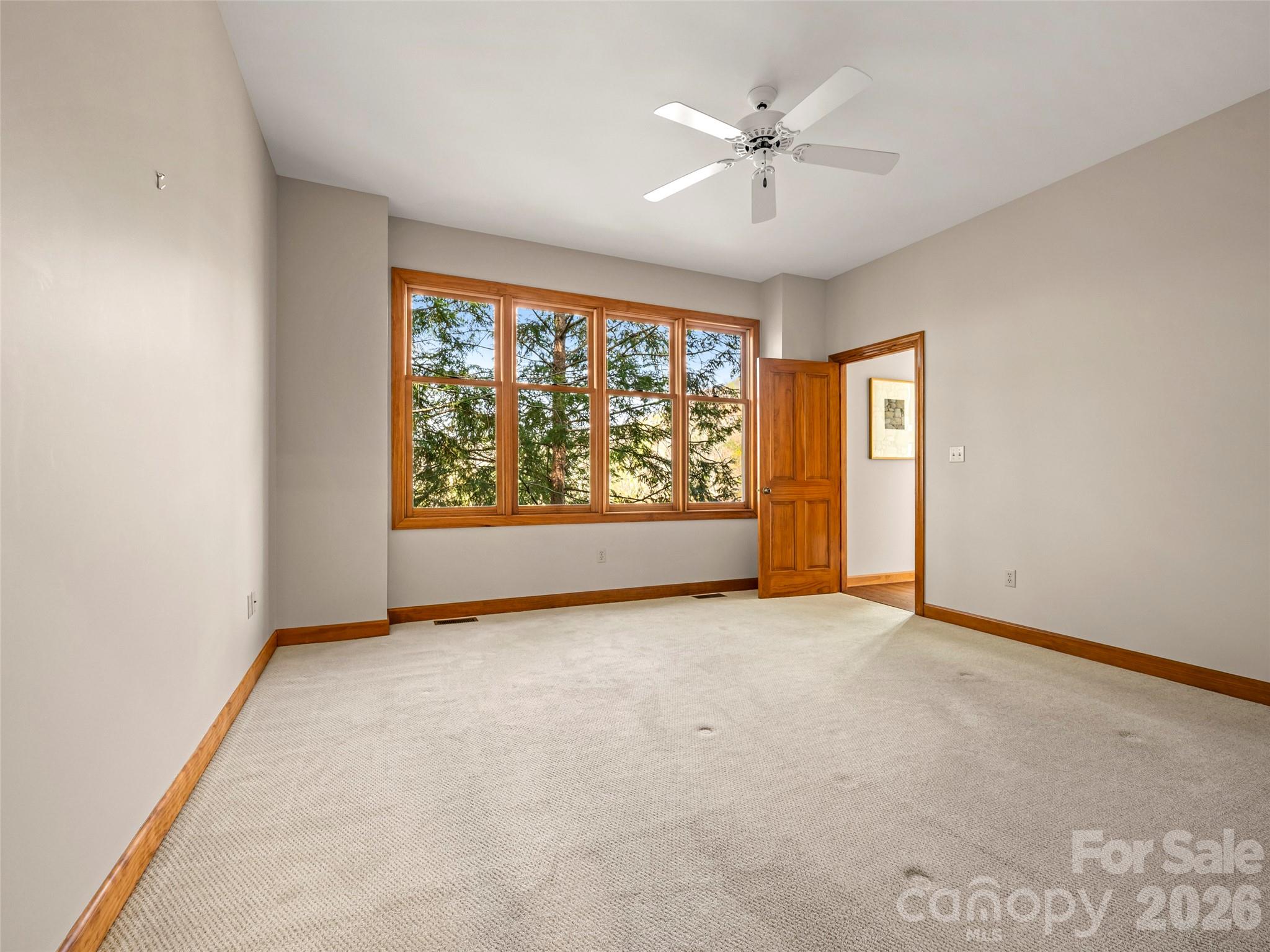 4 Wild Ivy Run Property Photo 18