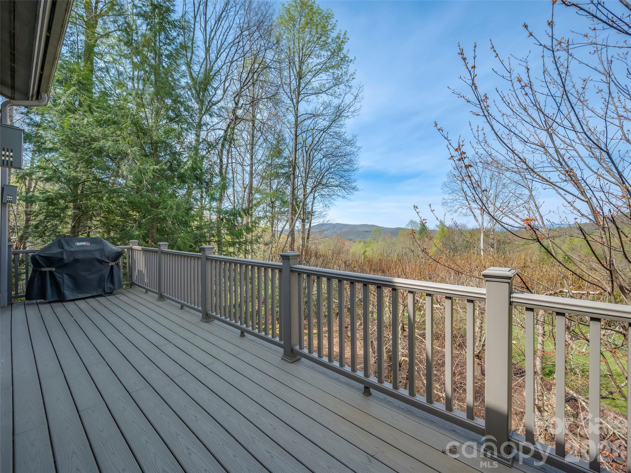 4 Wild Ivy Run Property Photo 35