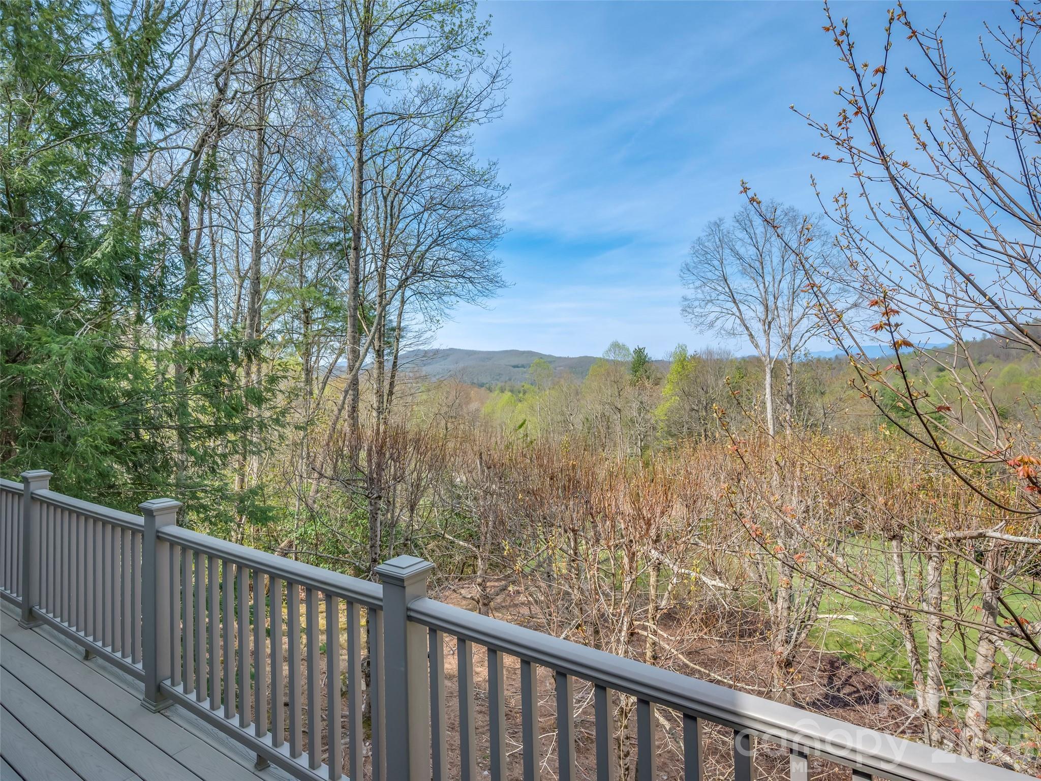 4 Wild Ivy Run Property Photo 36