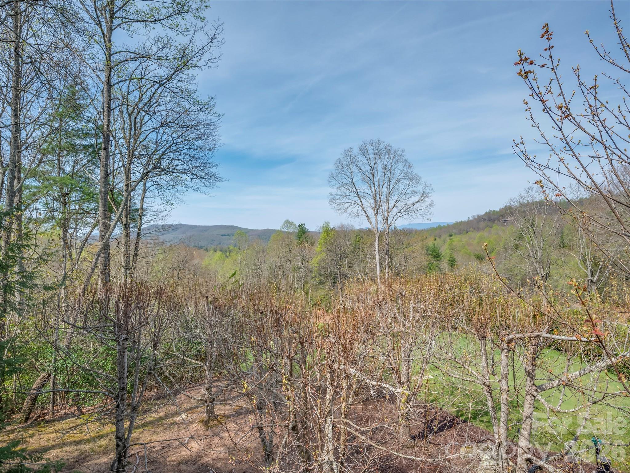 4 Wild Ivy Run Property Photo 37