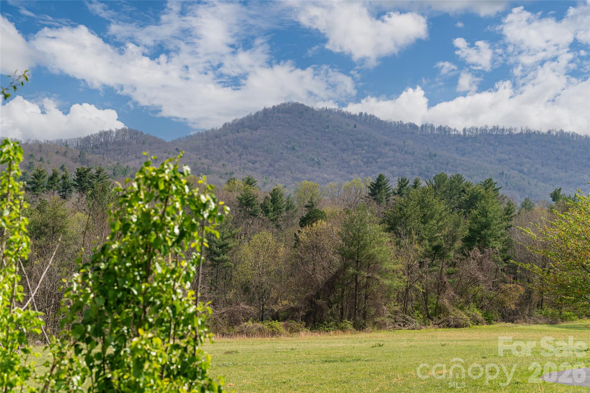 35 Alice Clement Lane Property Photo 20