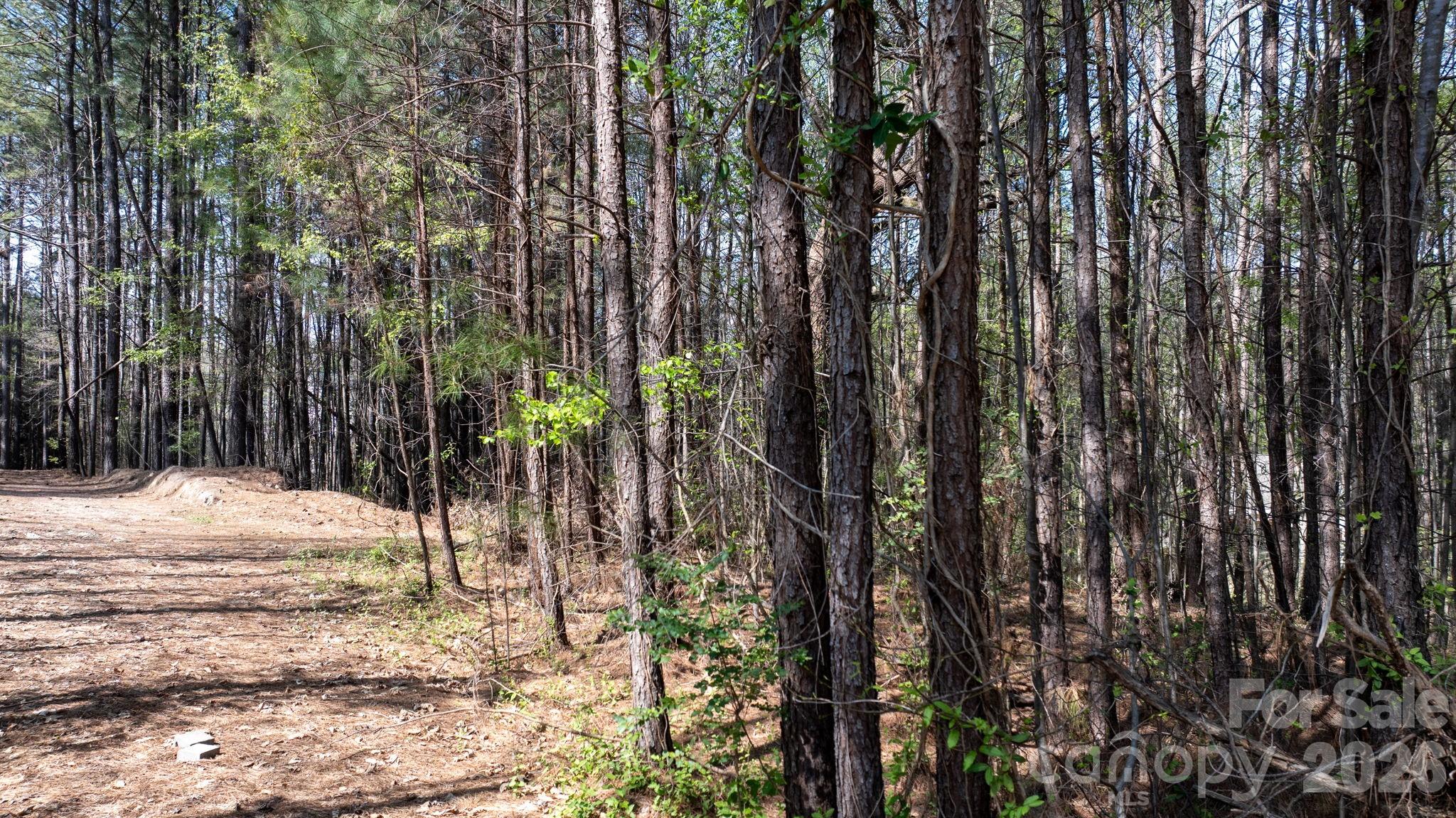 3486 Mooring Place Property Photo 6