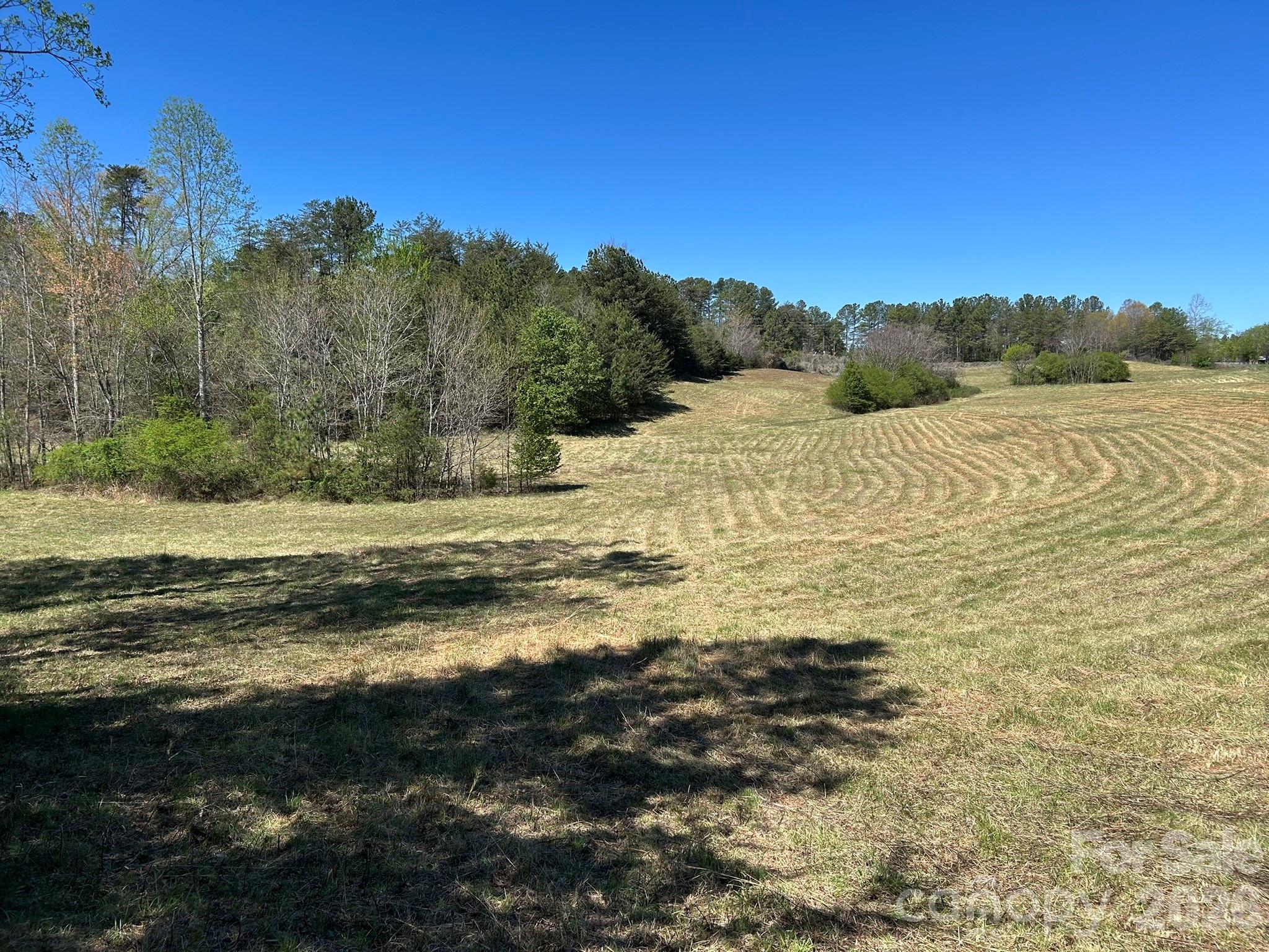 0 Pea Ridge Road Property Photo 10