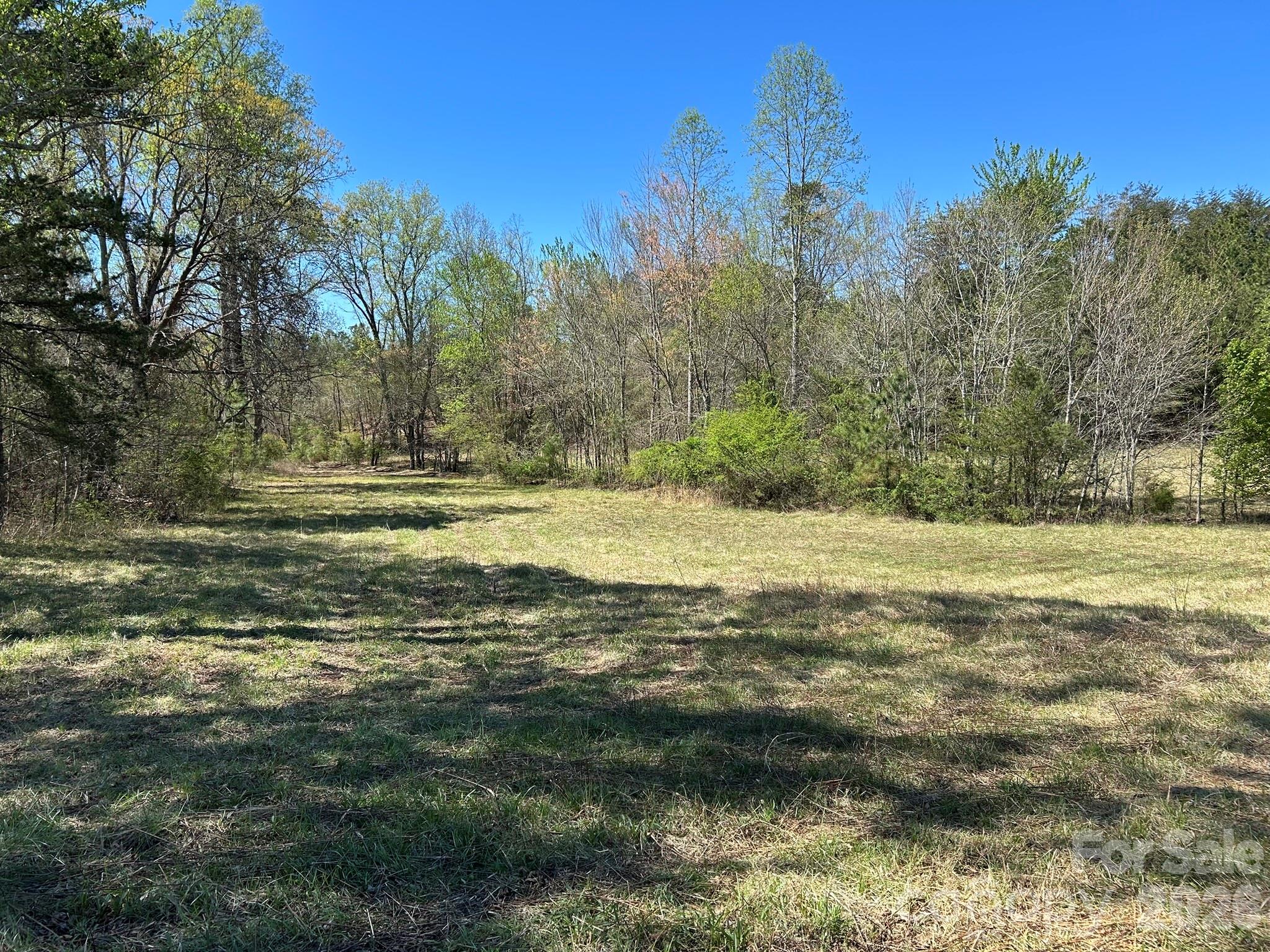 0 Pea Ridge Road Property Photo 11