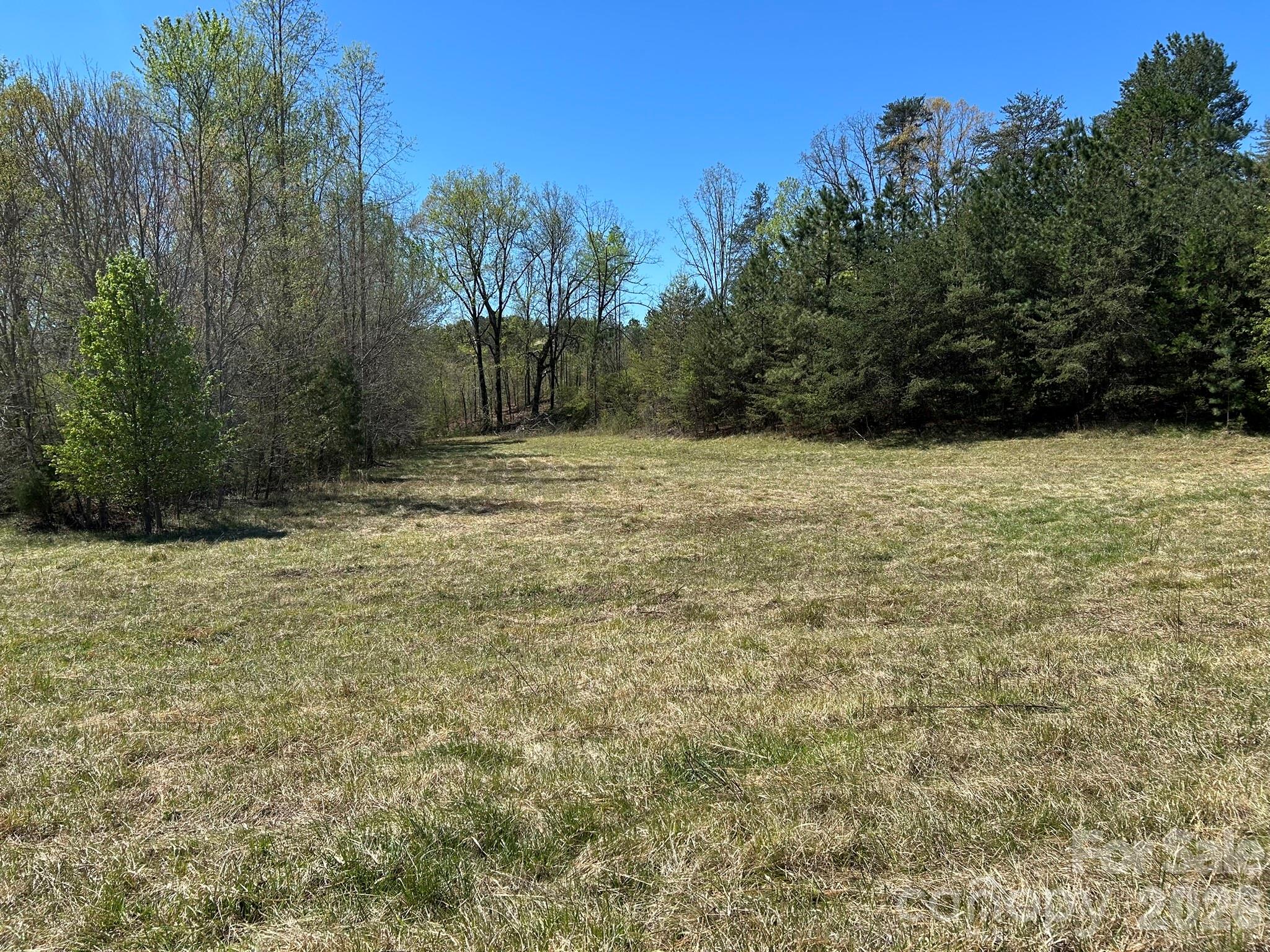 0 Pea Ridge Road Property Photo 12