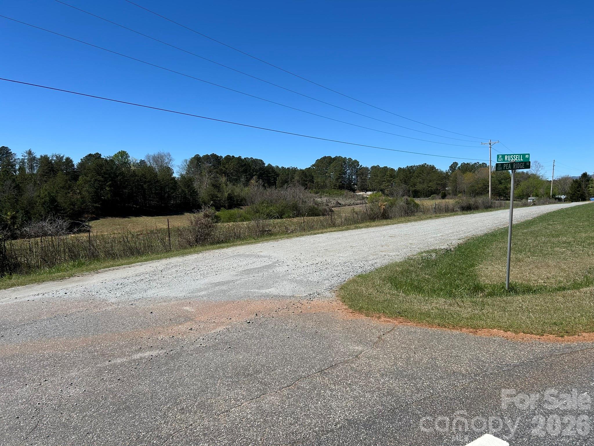 0 Pea Ridge Road Property Photo 21
