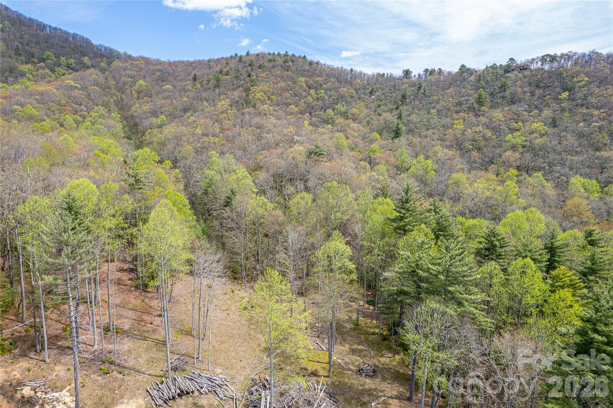 000 Rosman Highway Property Photo 1