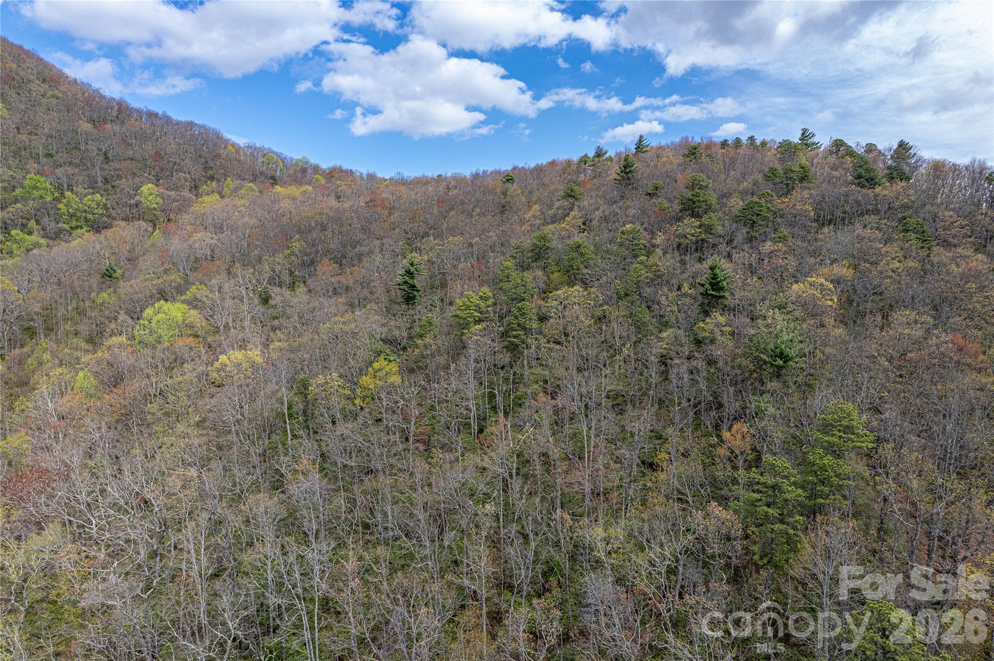 000 Rosman Highway Property Photo 6