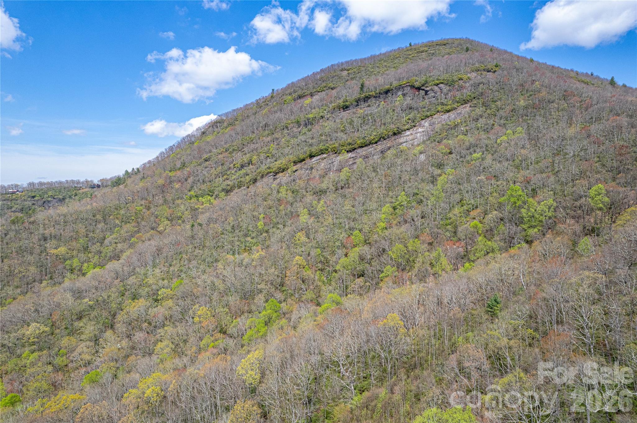 000 Rosman Highway Property Photo 7