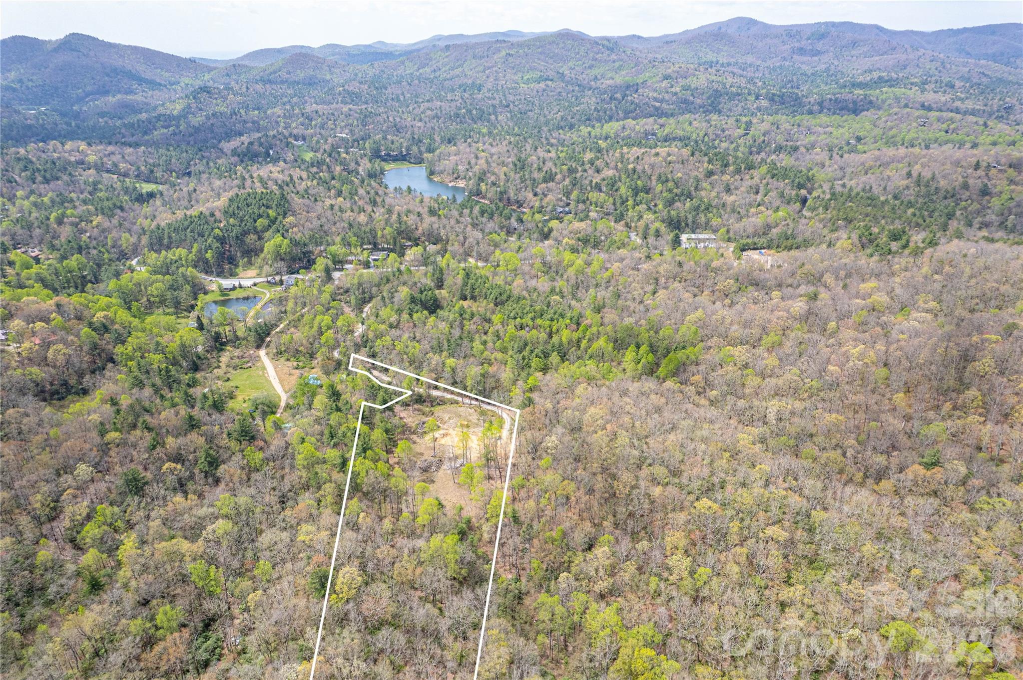 000 Rosman Highway Property Photo 9