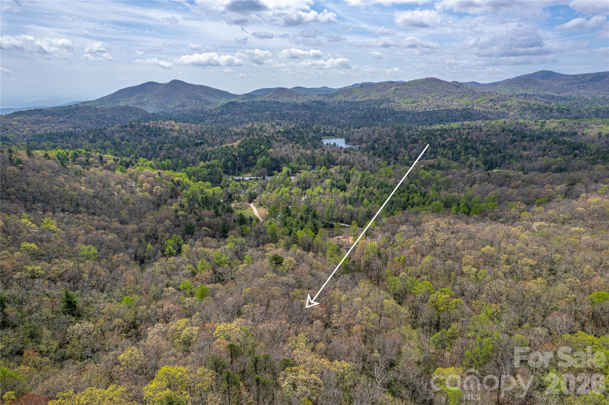 000 Rosman Highway Property Photo 15