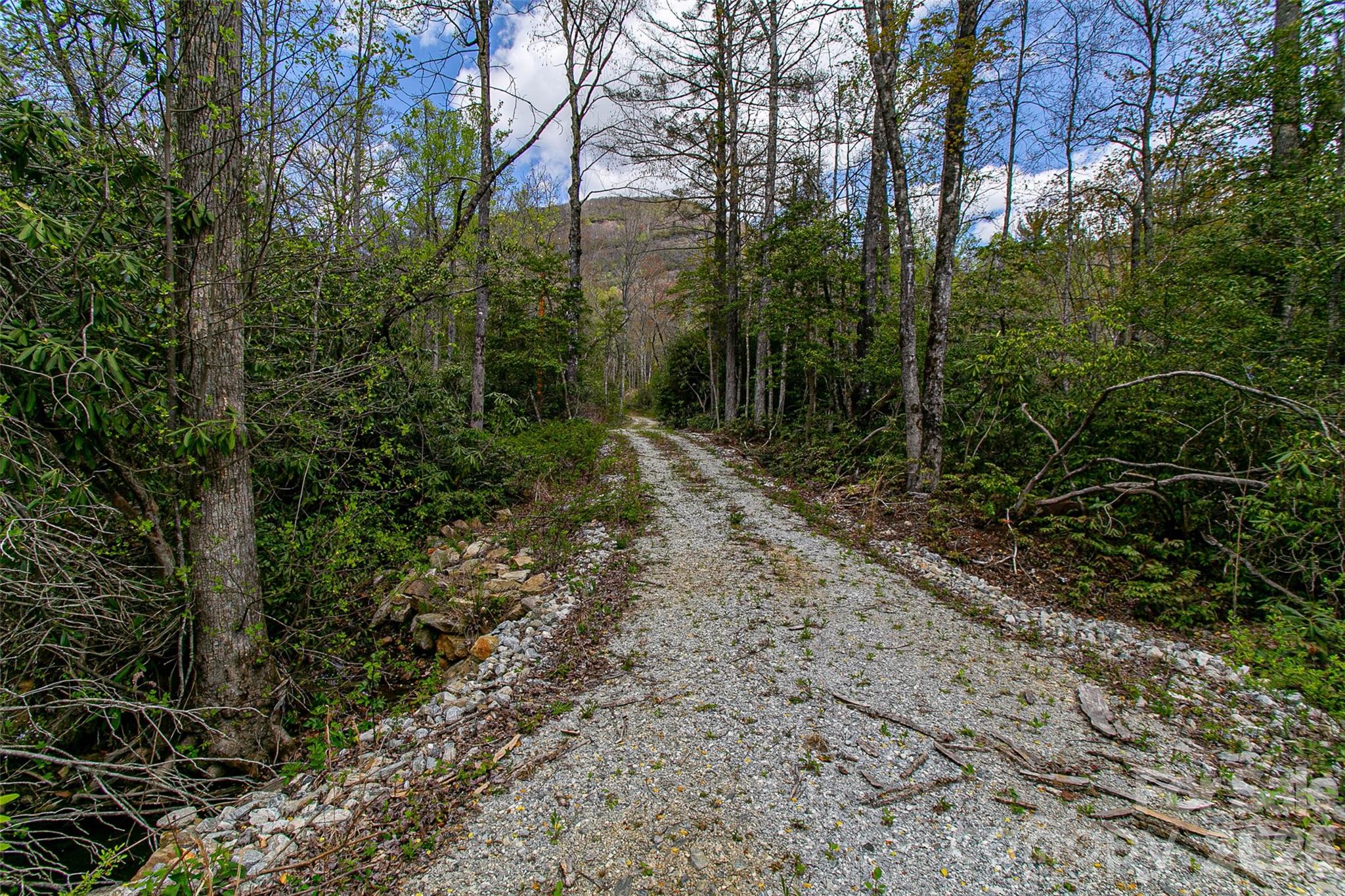 000 Rosman Highway Property Photo 19