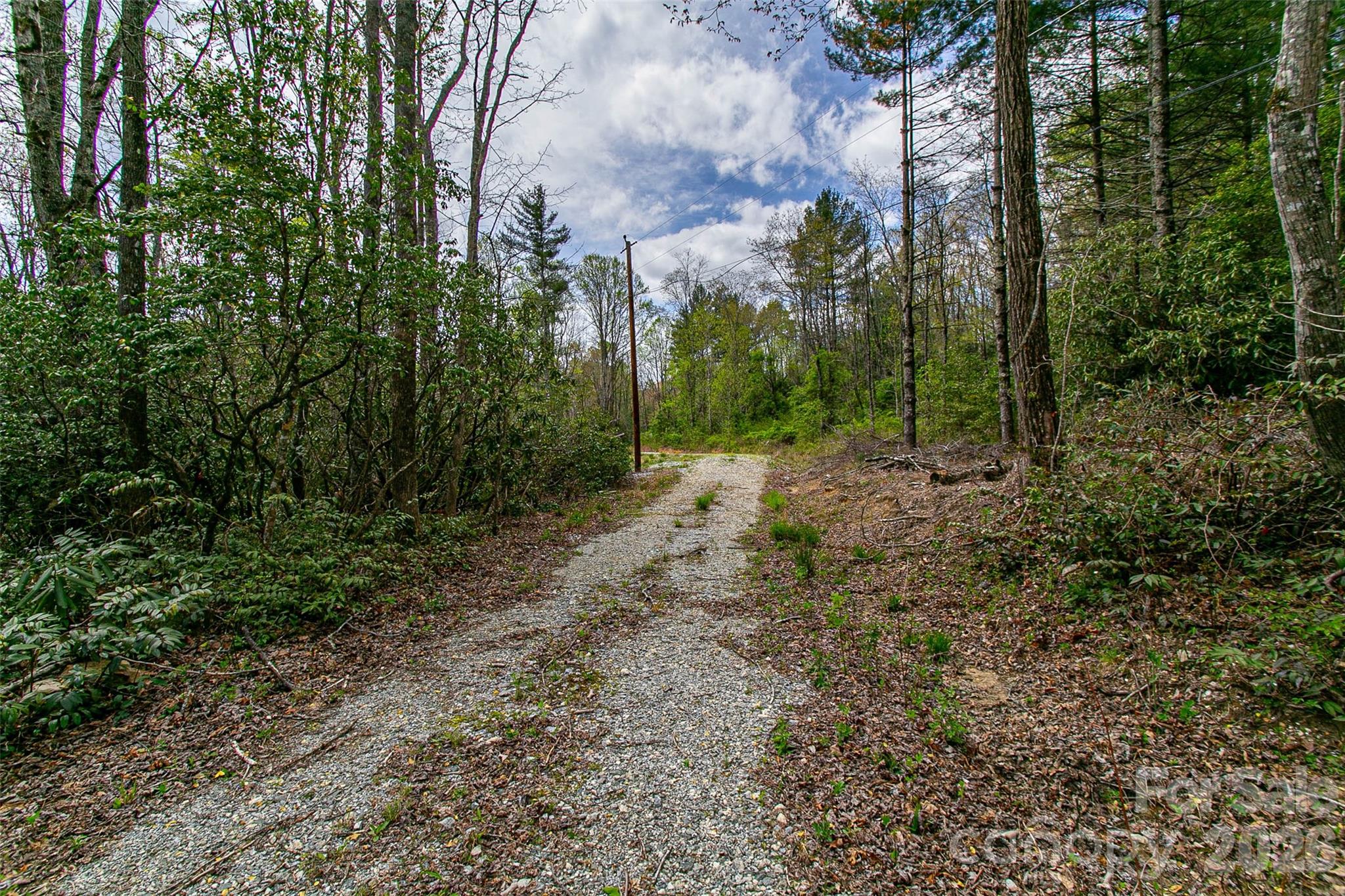 000 Rosman Highway Property Photo 21