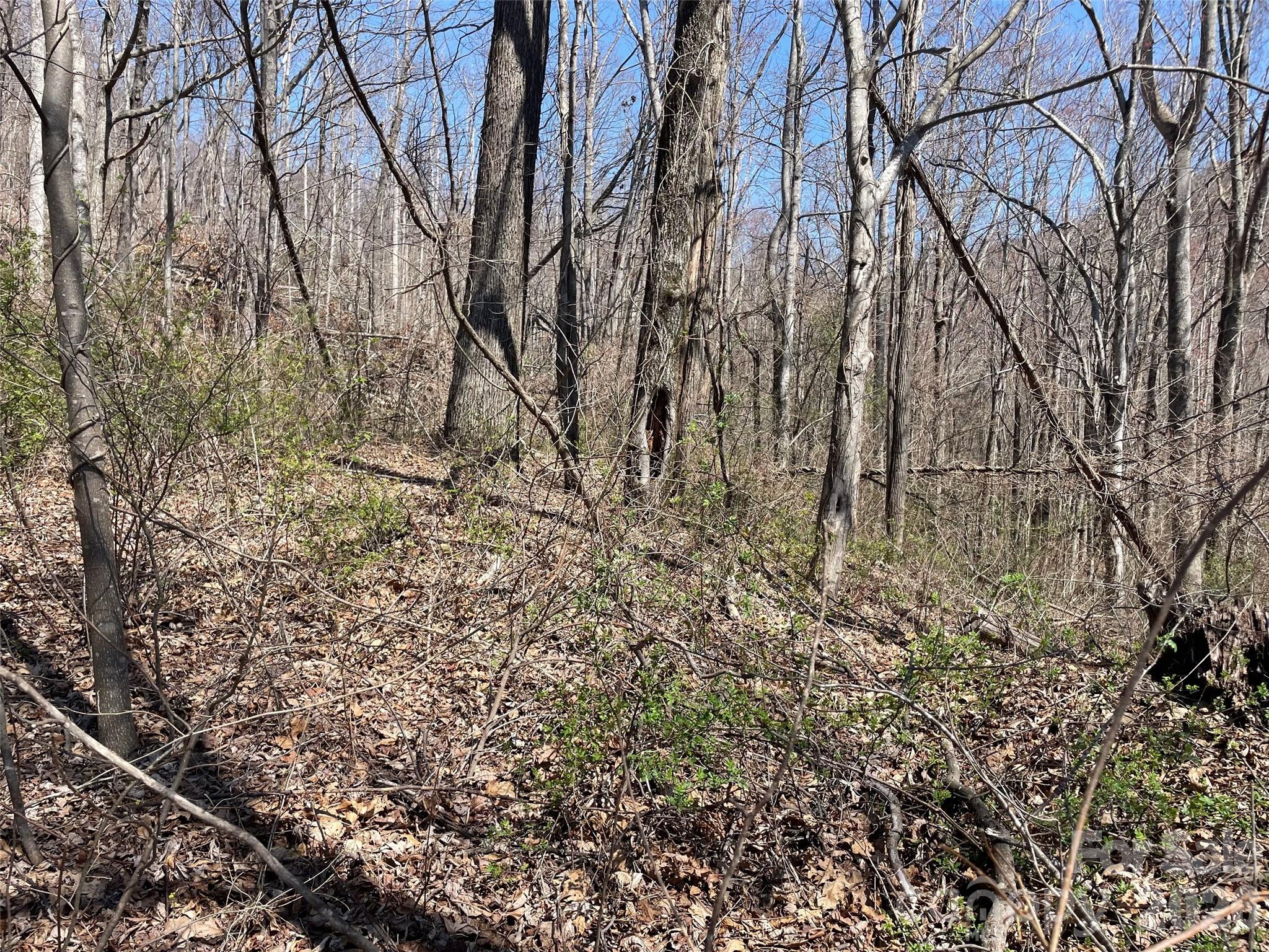 182 Old Mountain Pass Property Photo 1