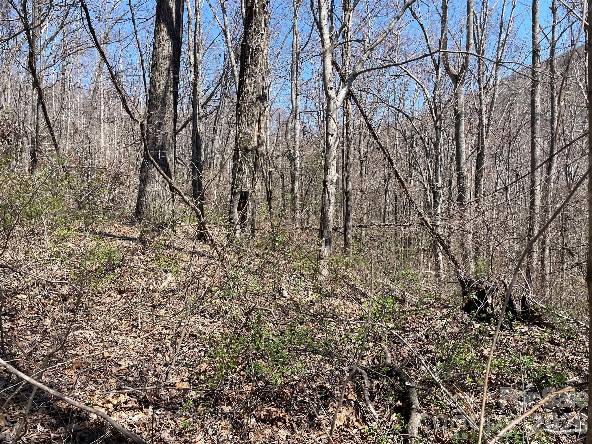 182 Old Mountain Pass Property Photo 2