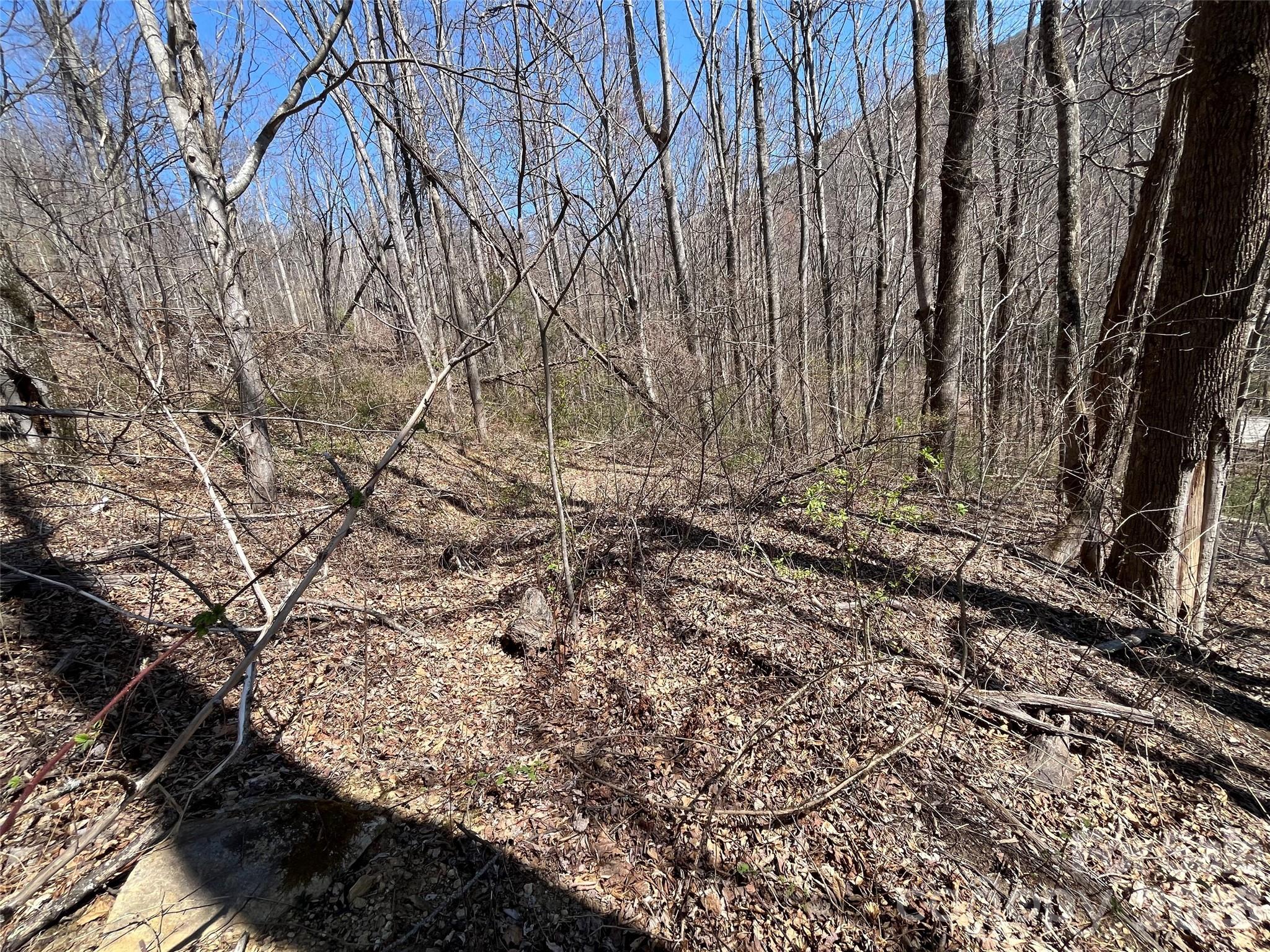 182 Old Mountain Pass Property Photo 3