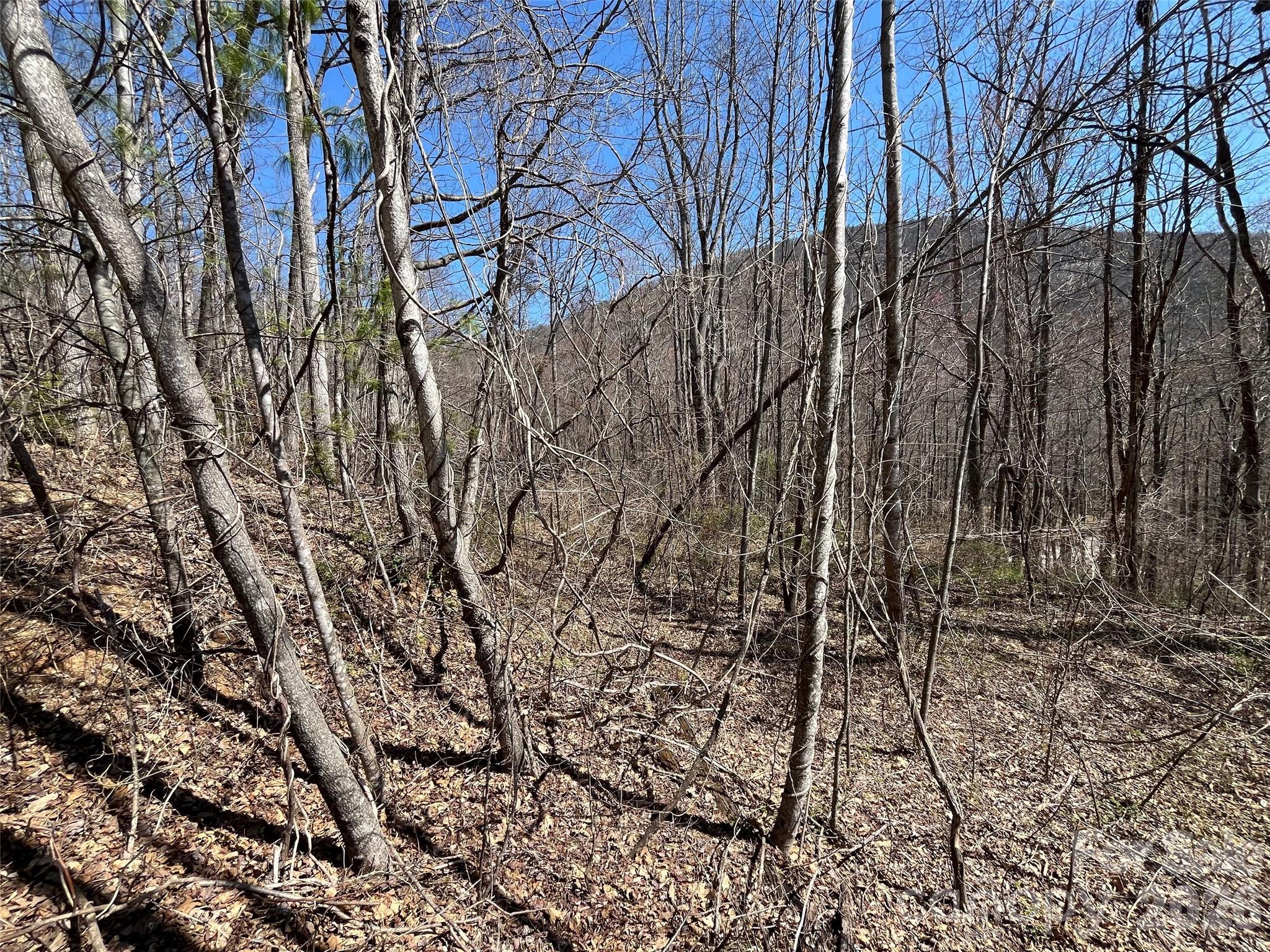 182 Old Mountain Pass Property Photo 4