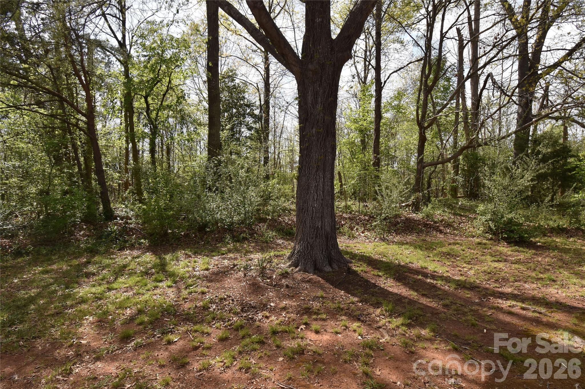 661 Kilborne Drive Property Photo 33
