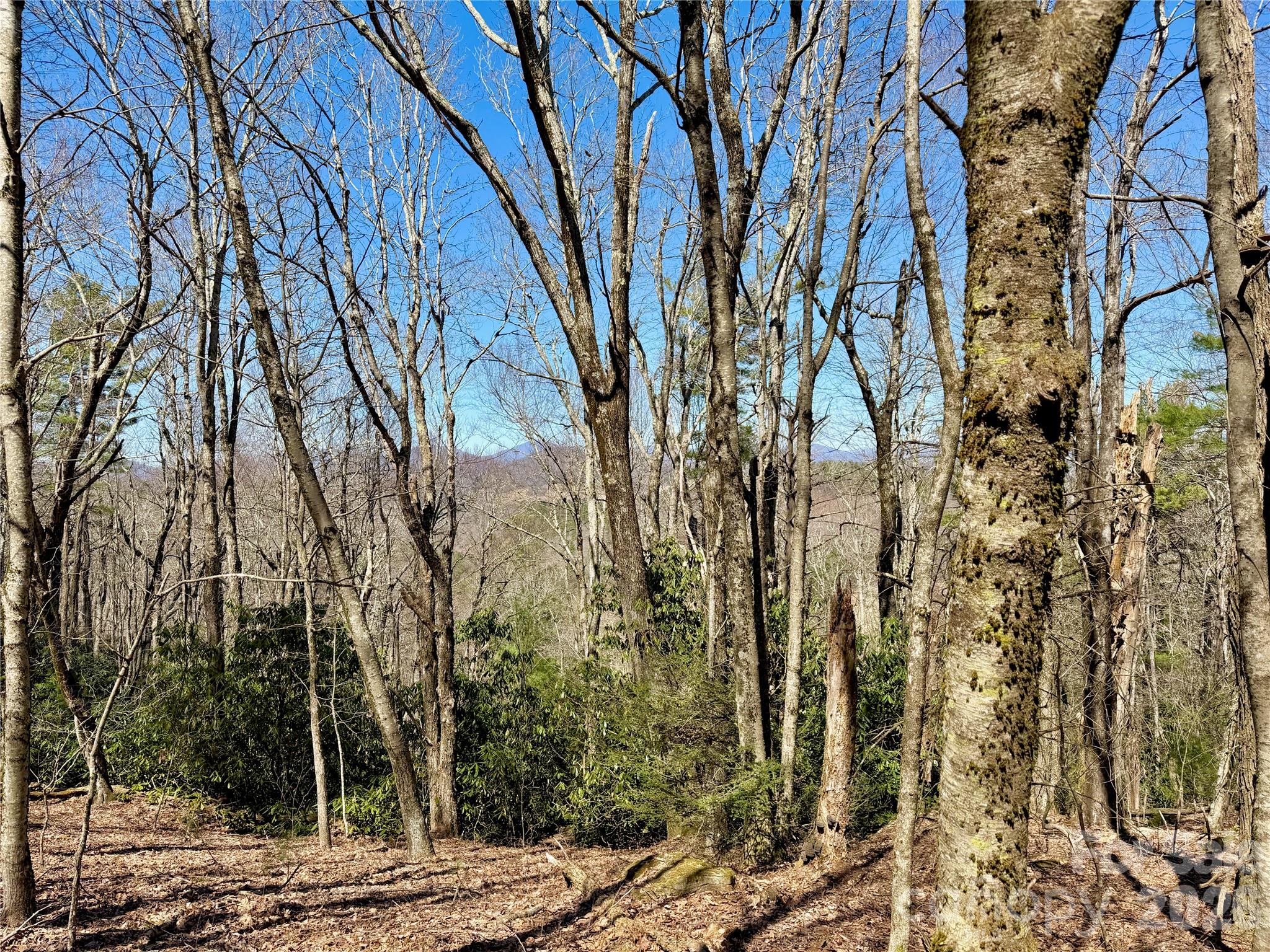 Tbd Grandview Drive Tract A Property Photo 2