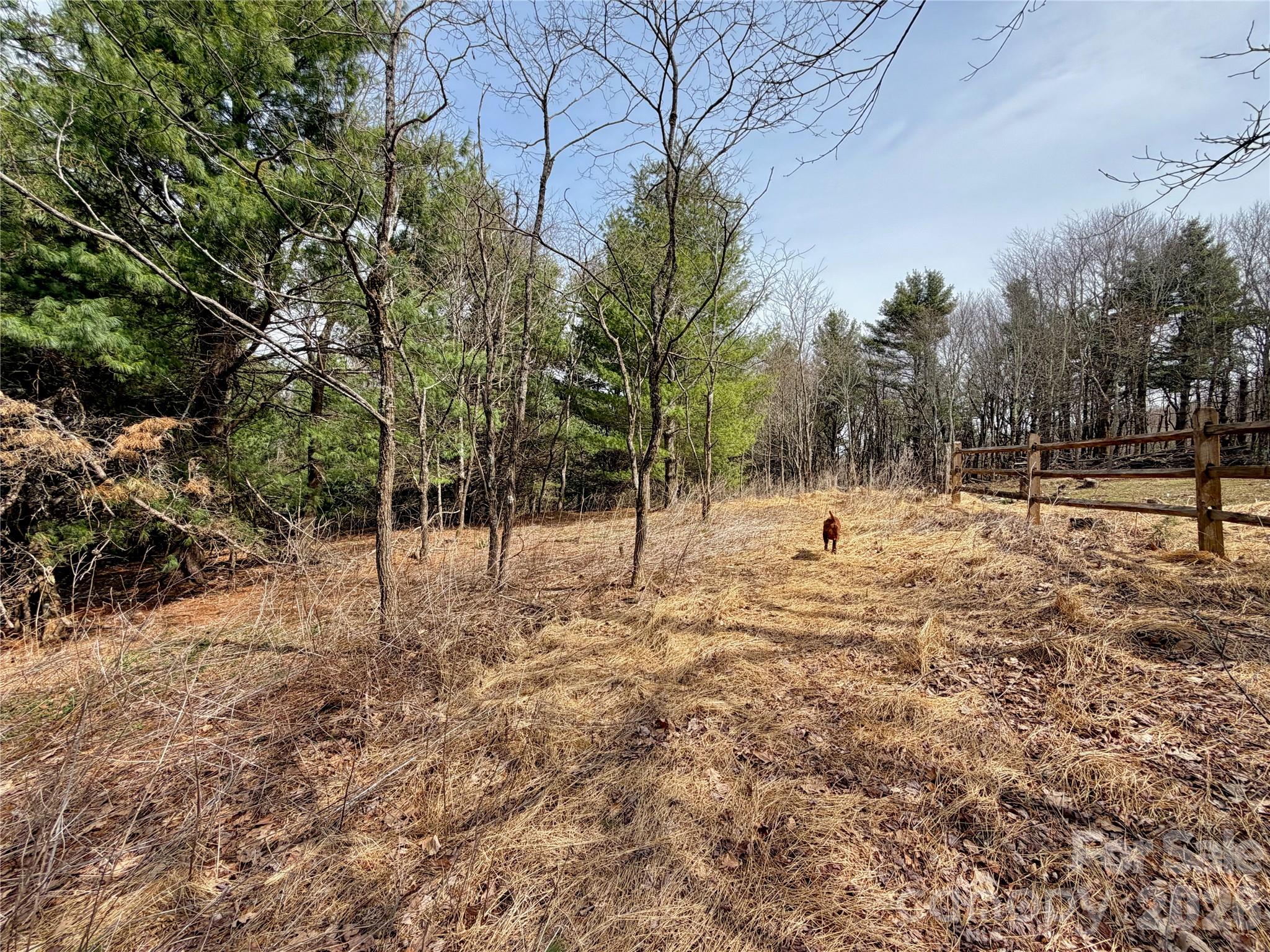 Tbd Grandview Drive Tract A Property Photo 19