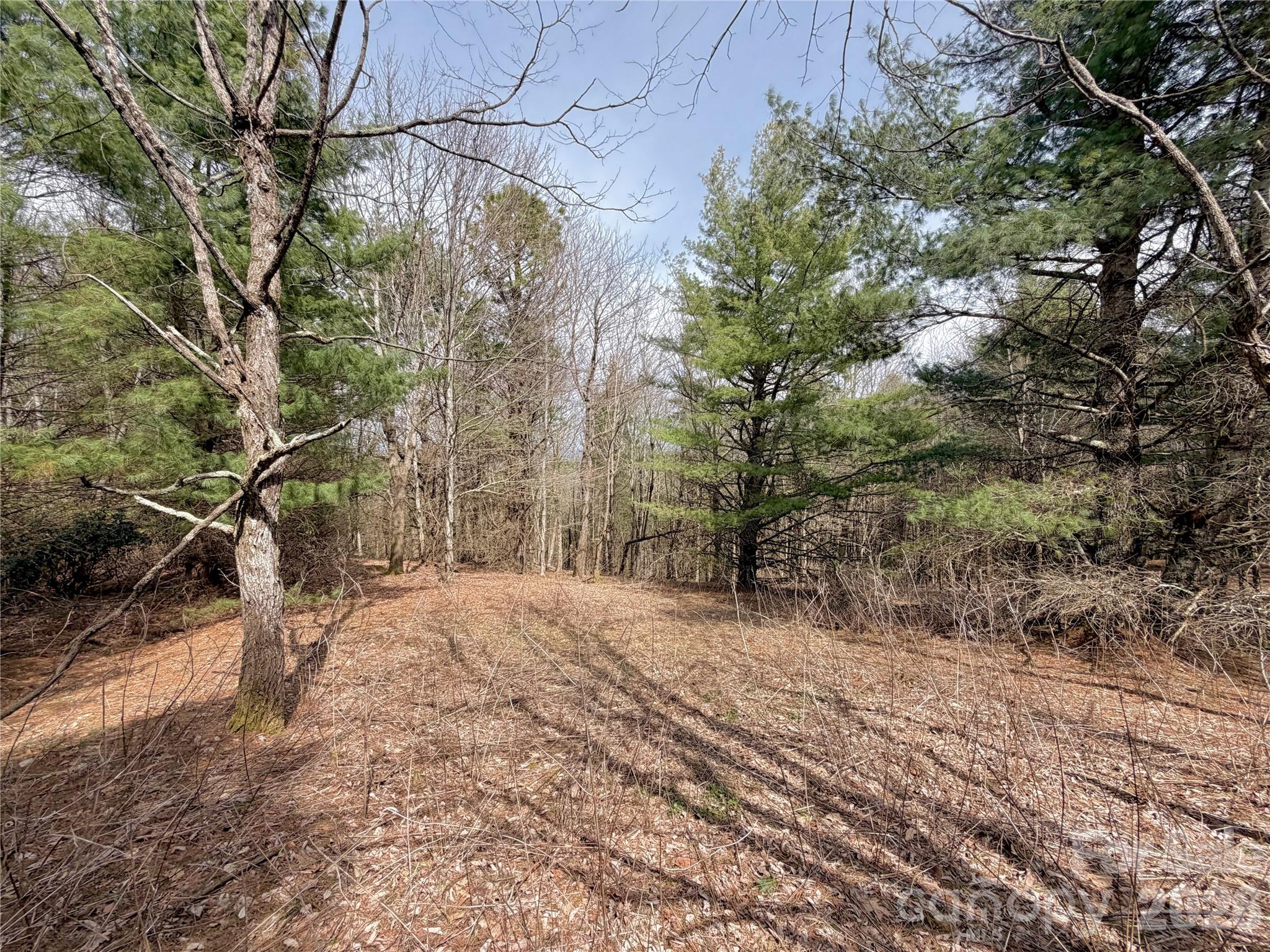 Tbd Grandview Drive Tract A Property Photo 20