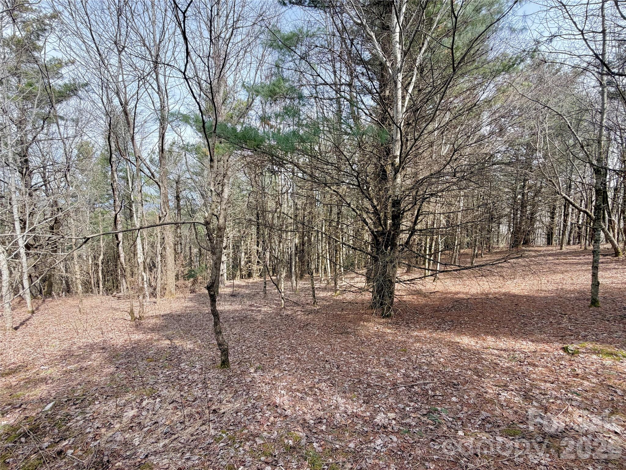 Tbd Grandview Drive Tract A Property Photo 21