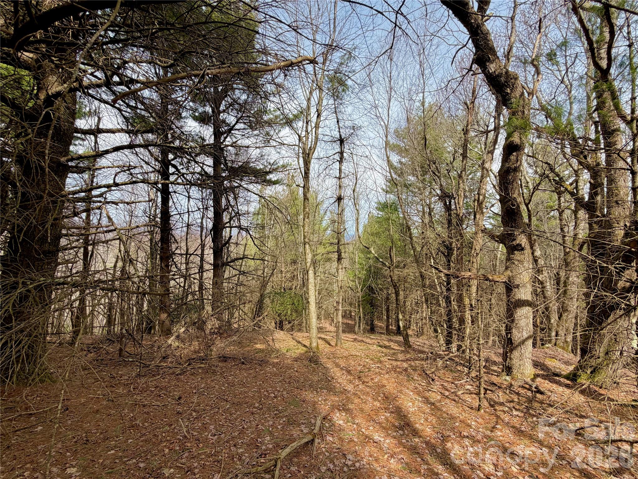 Tbd Grandview Drive Tract A Property Photo 22