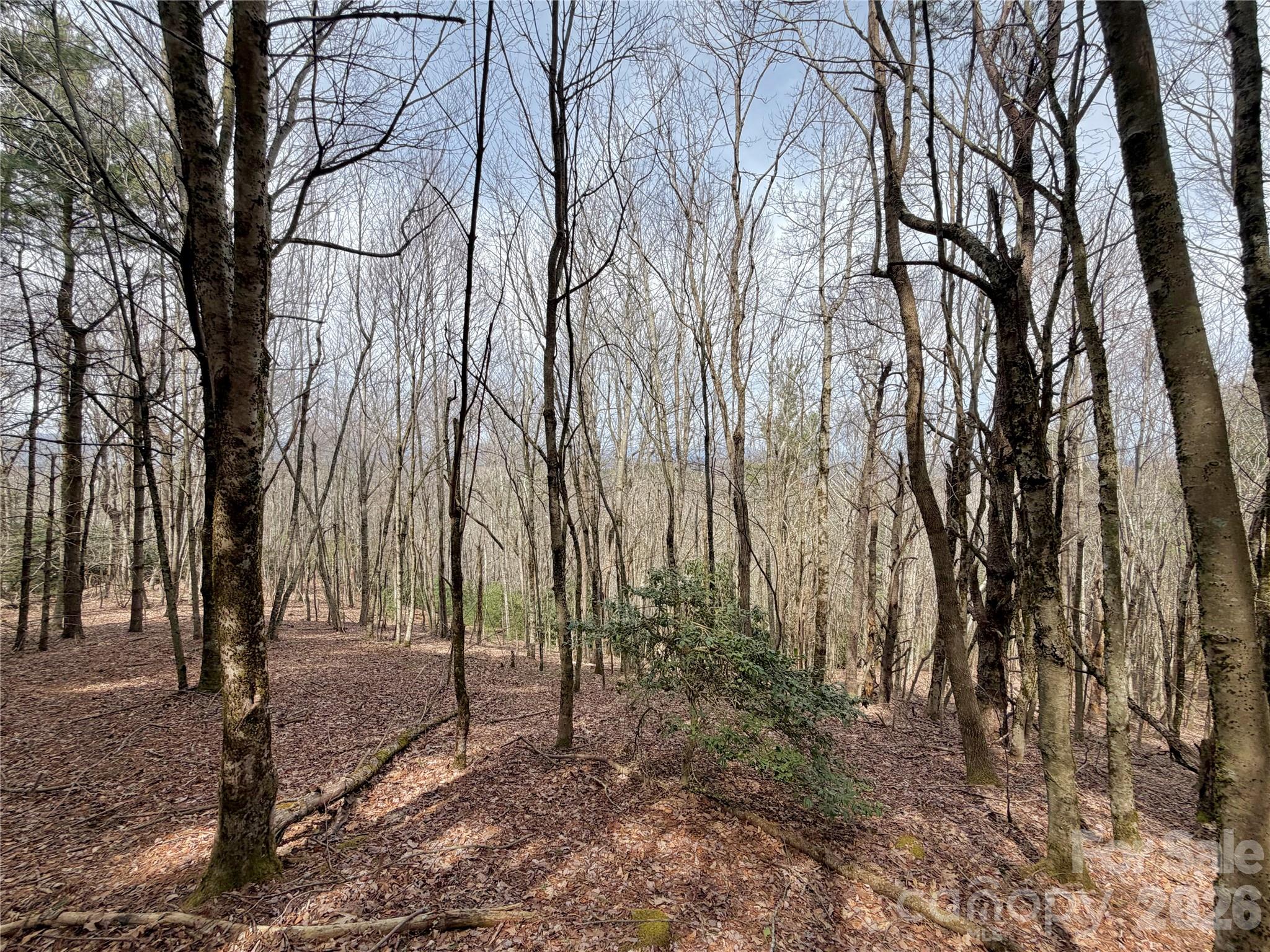 Tbd Grandview Drive Tract A Property Photo 23