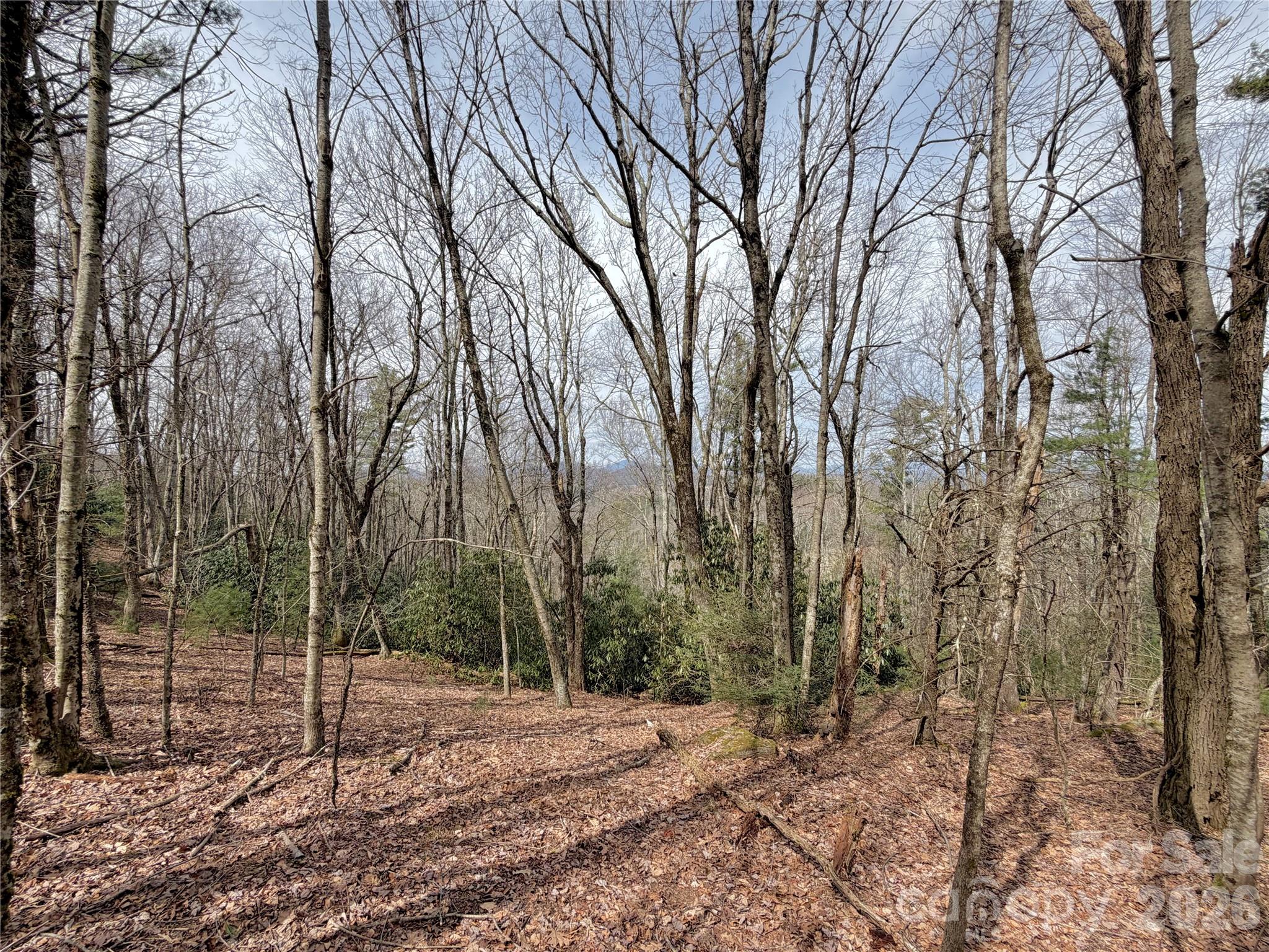 Tbd Grandview Drive Tract A Property Photo 24