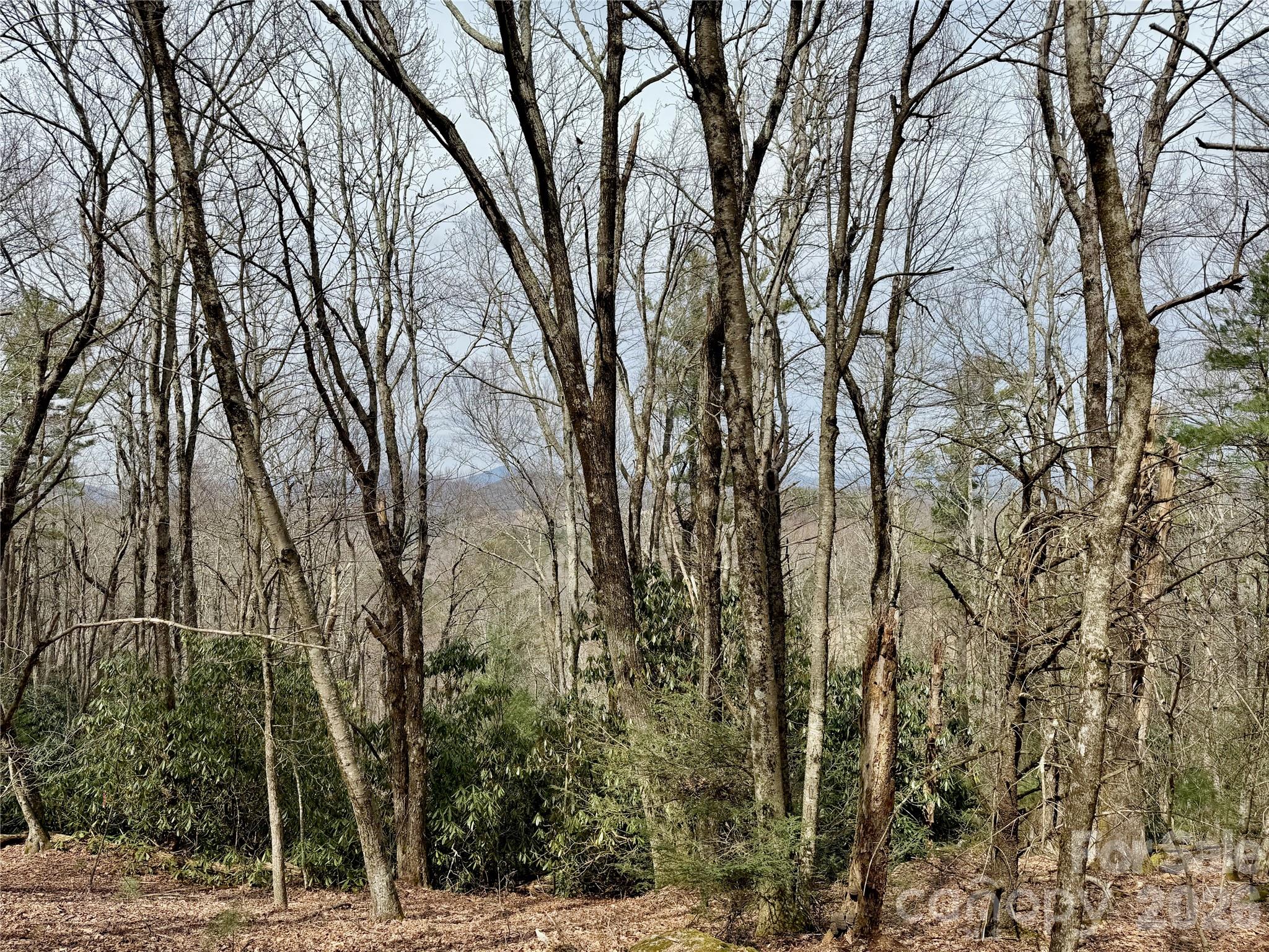 Tbd Grandview Drive Tract A Property Photo 26