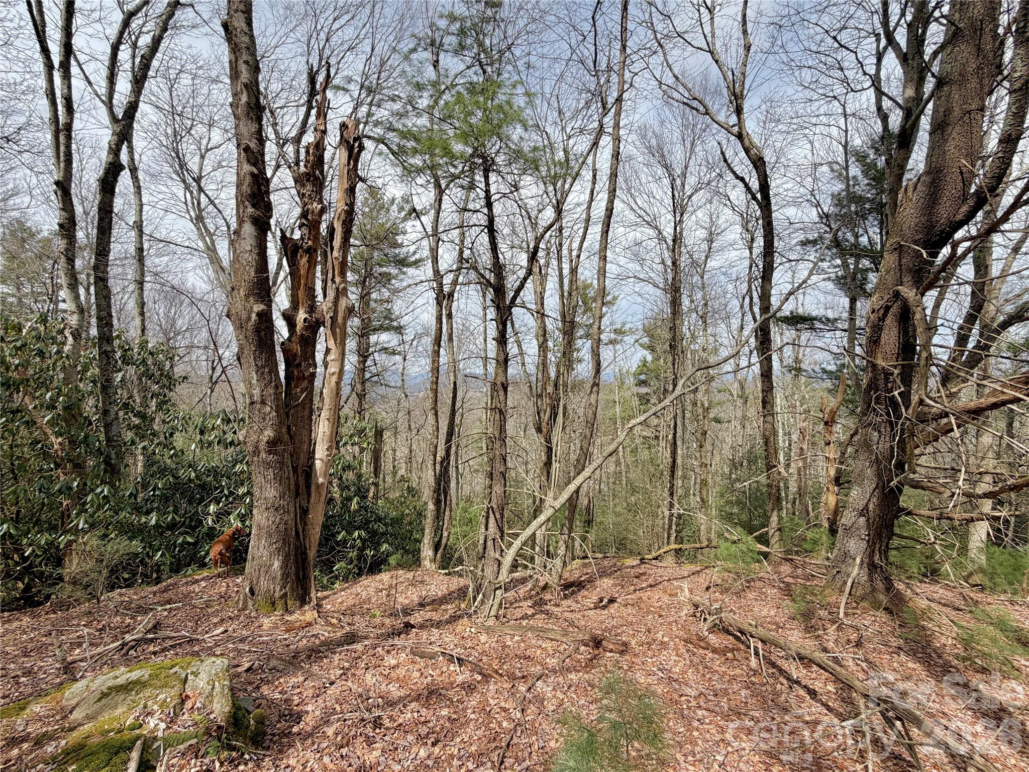 Tbd Grandview Drive Tract A Property Photo 27