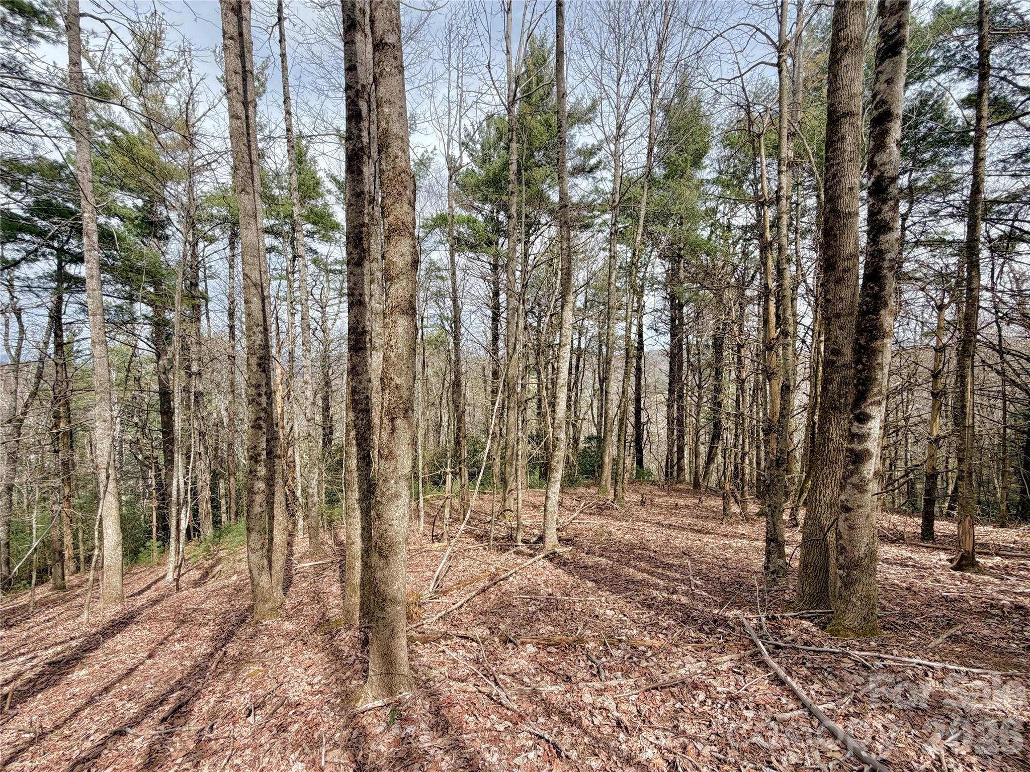 Tbd Grandview Drive Tract A Property Photo 28