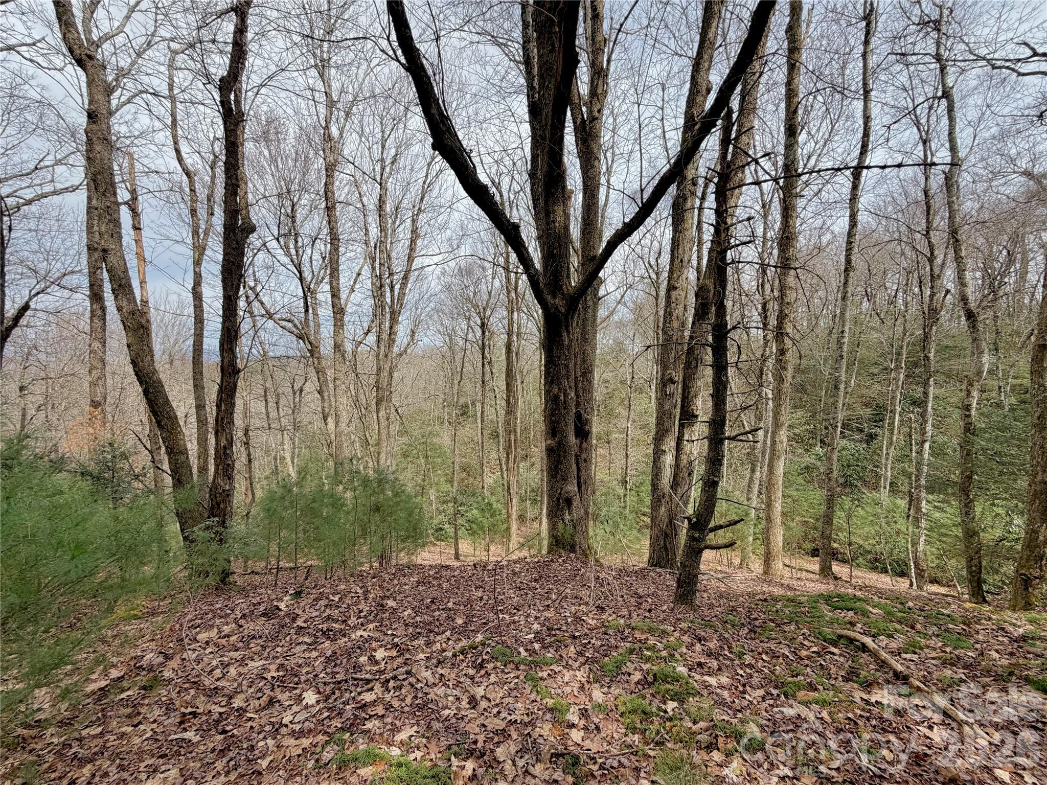 Tbd Grandview Drive Tract A Property Photo 29