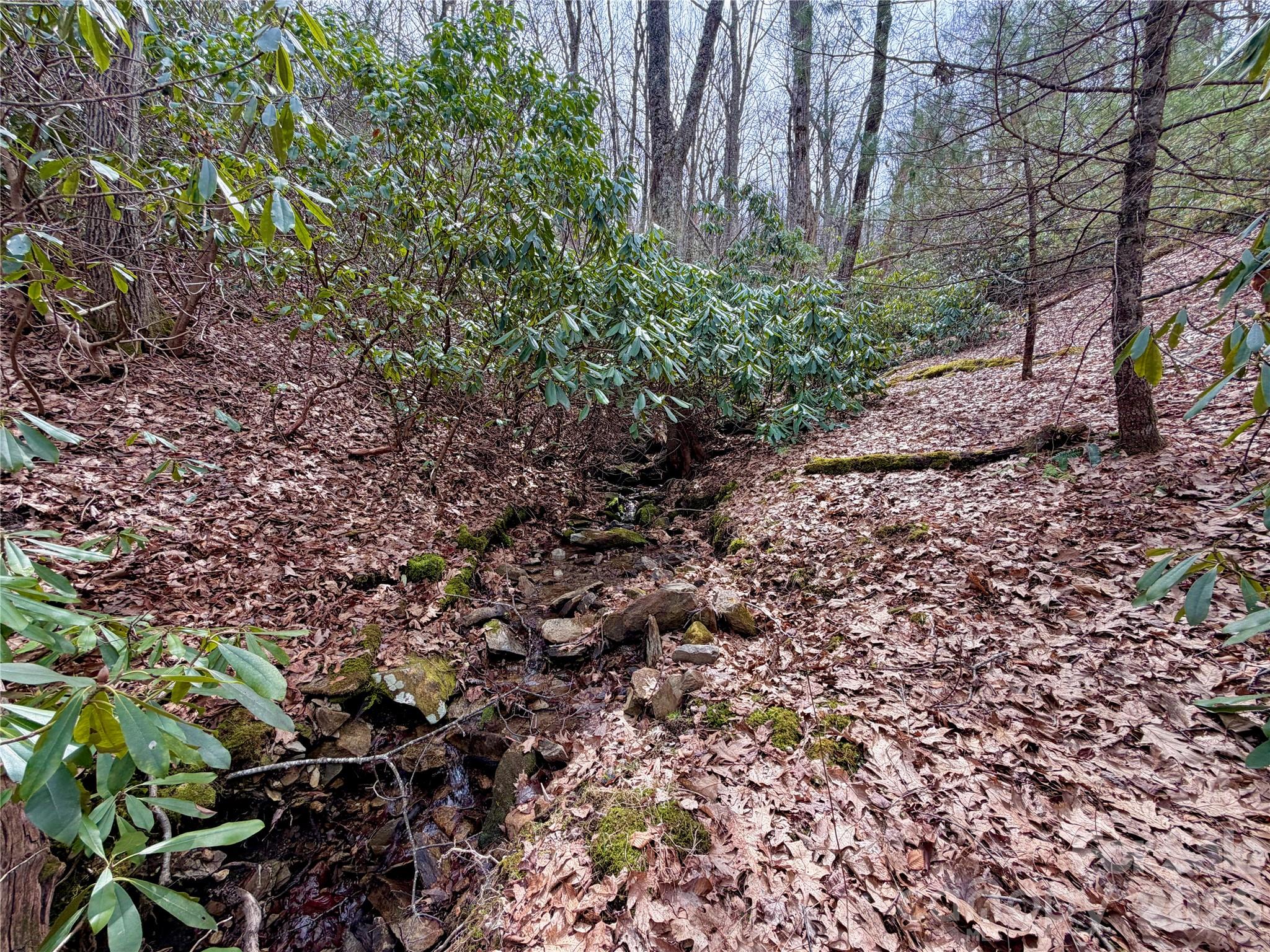 Tbd Grandview Drive Tract A Property Photo 30