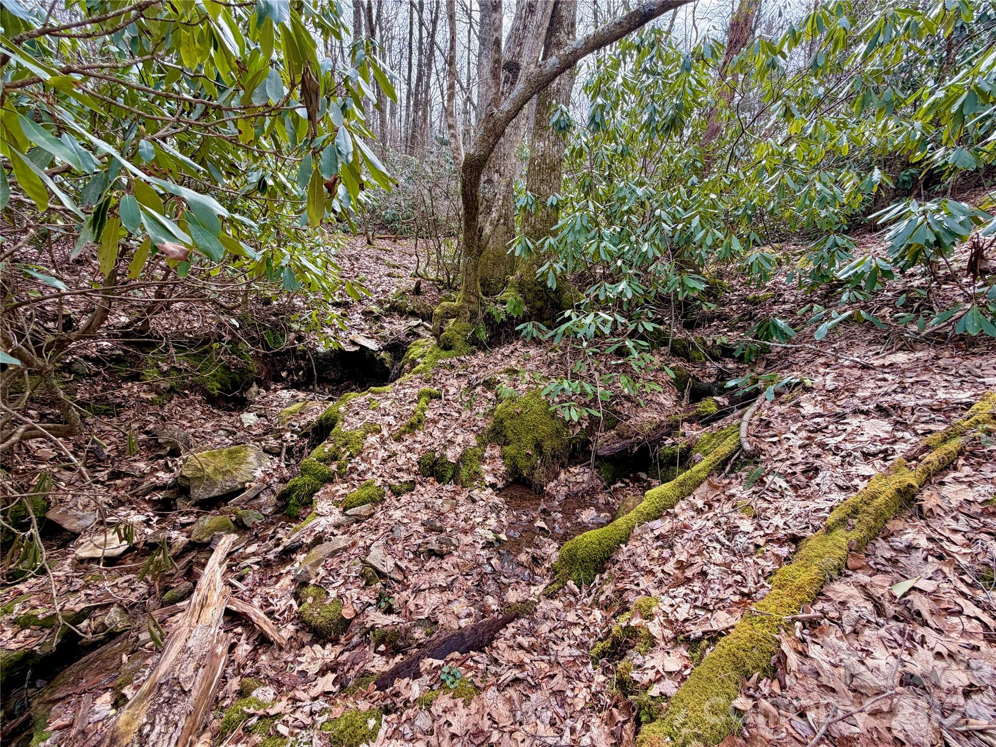 Tbd Grandview Drive Tract A Property Photo 31