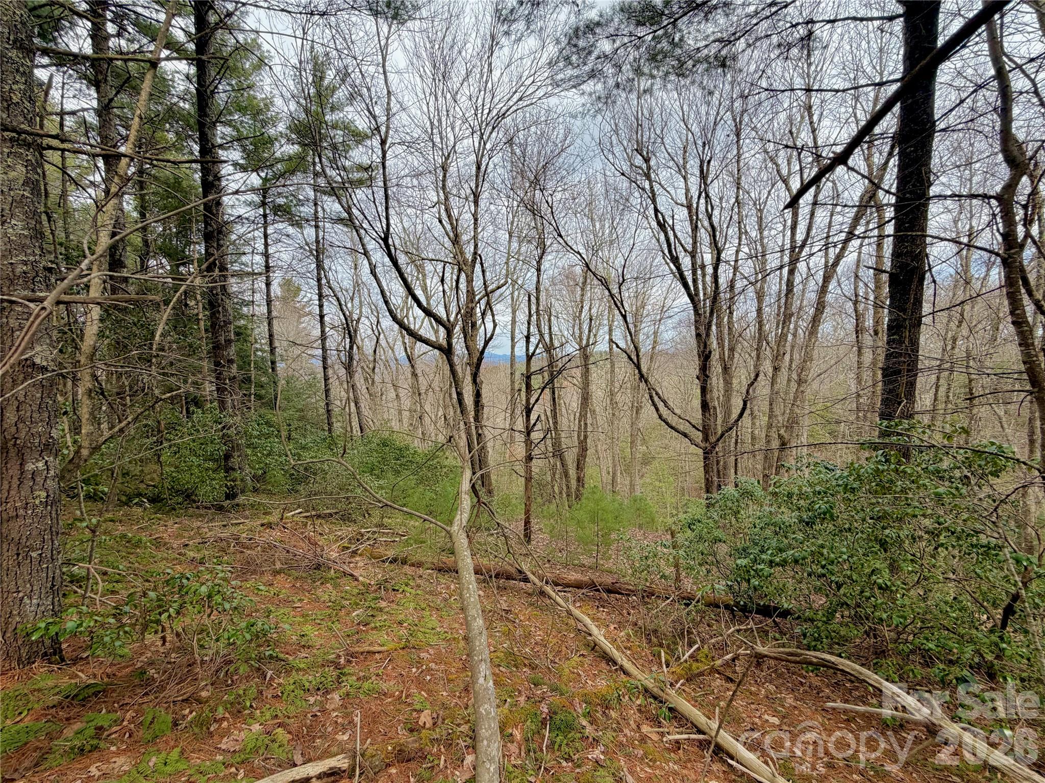 Tbd Grandview Drive Tract A Property Photo 32