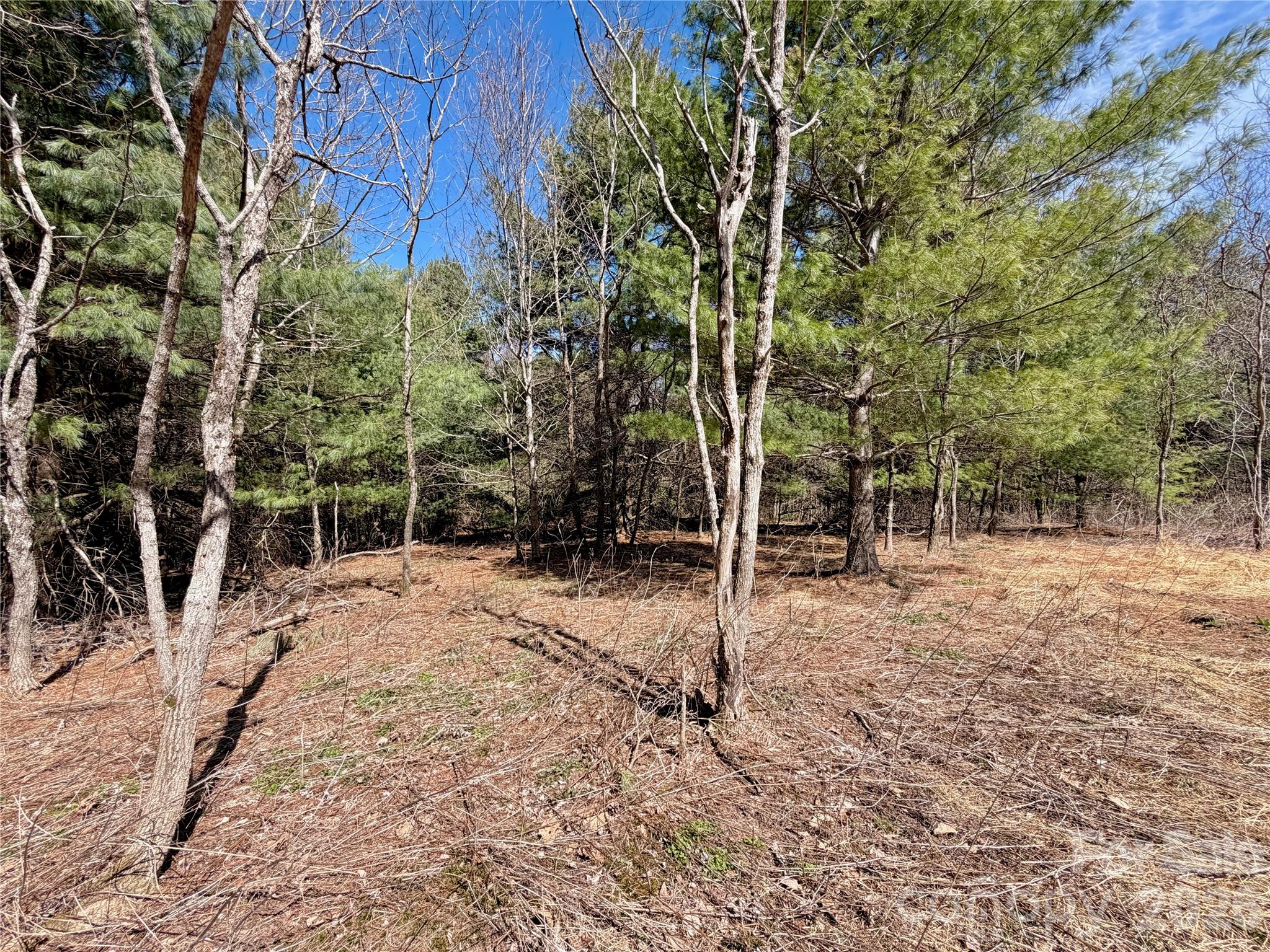 Tbd Grandview Drive Tract A Property Photo 34