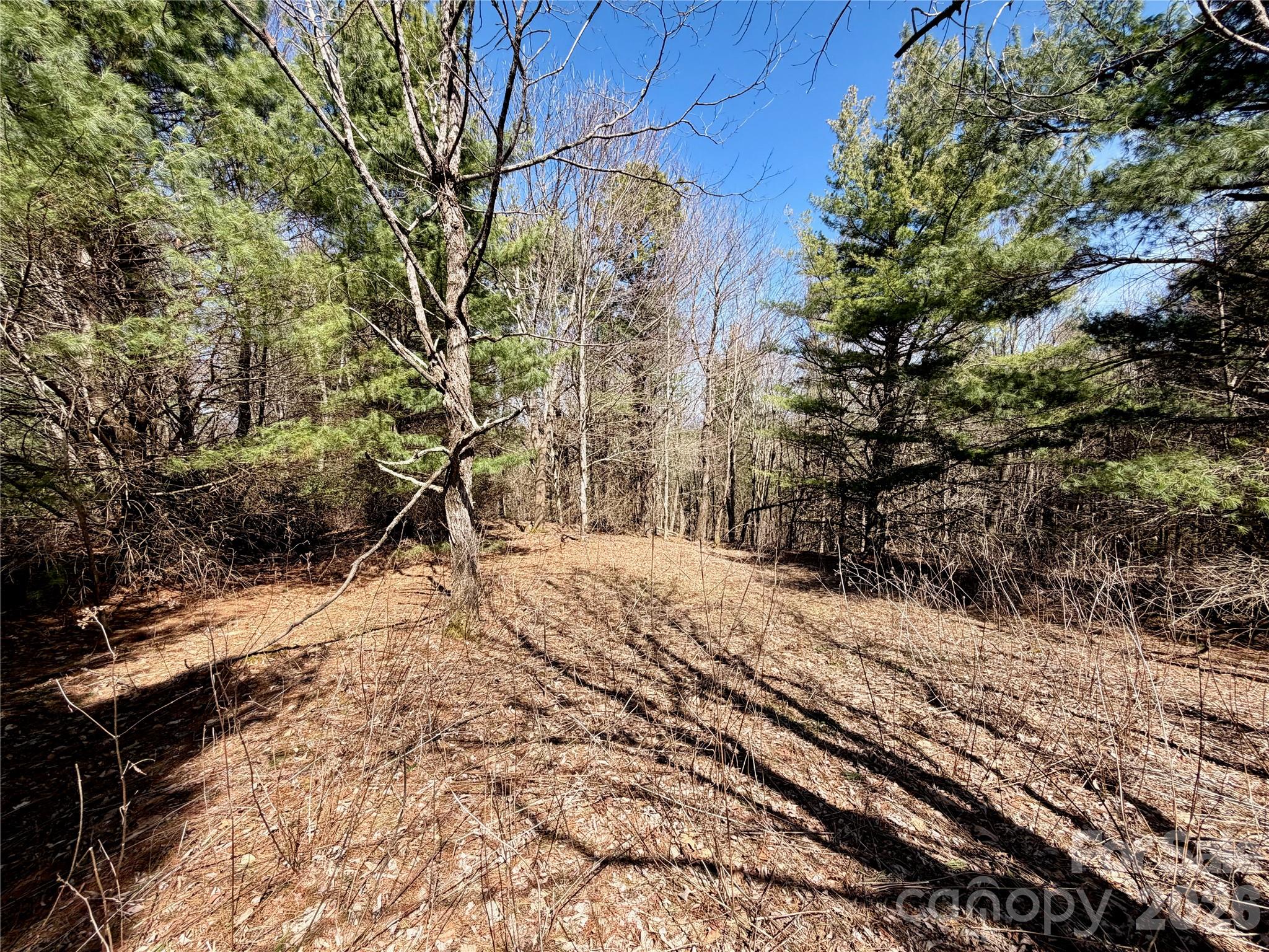 Tbd Grandview Drive Tract A Property Photo 35