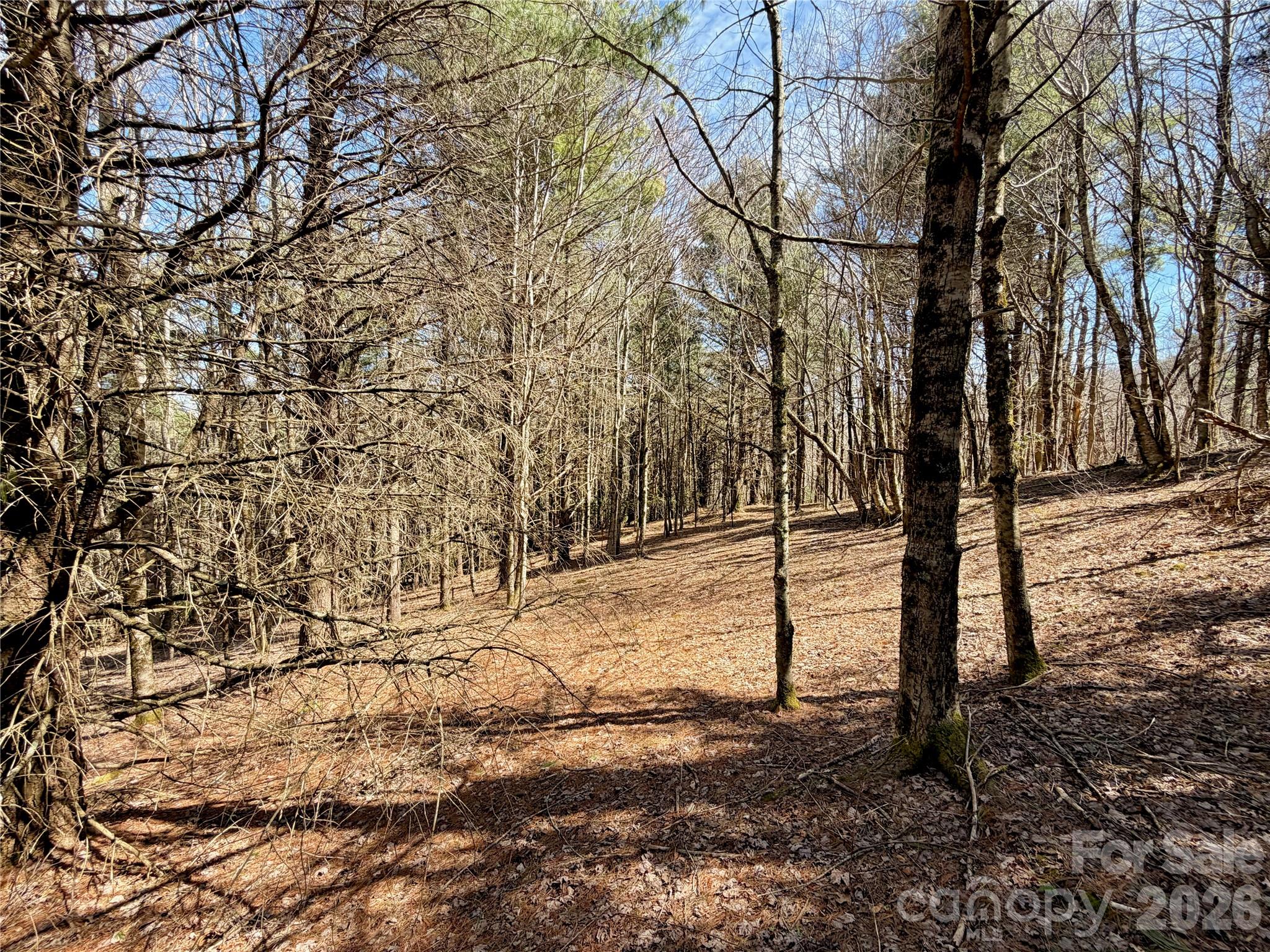 Tbd Grandview Drive Tract A Property Photo 37